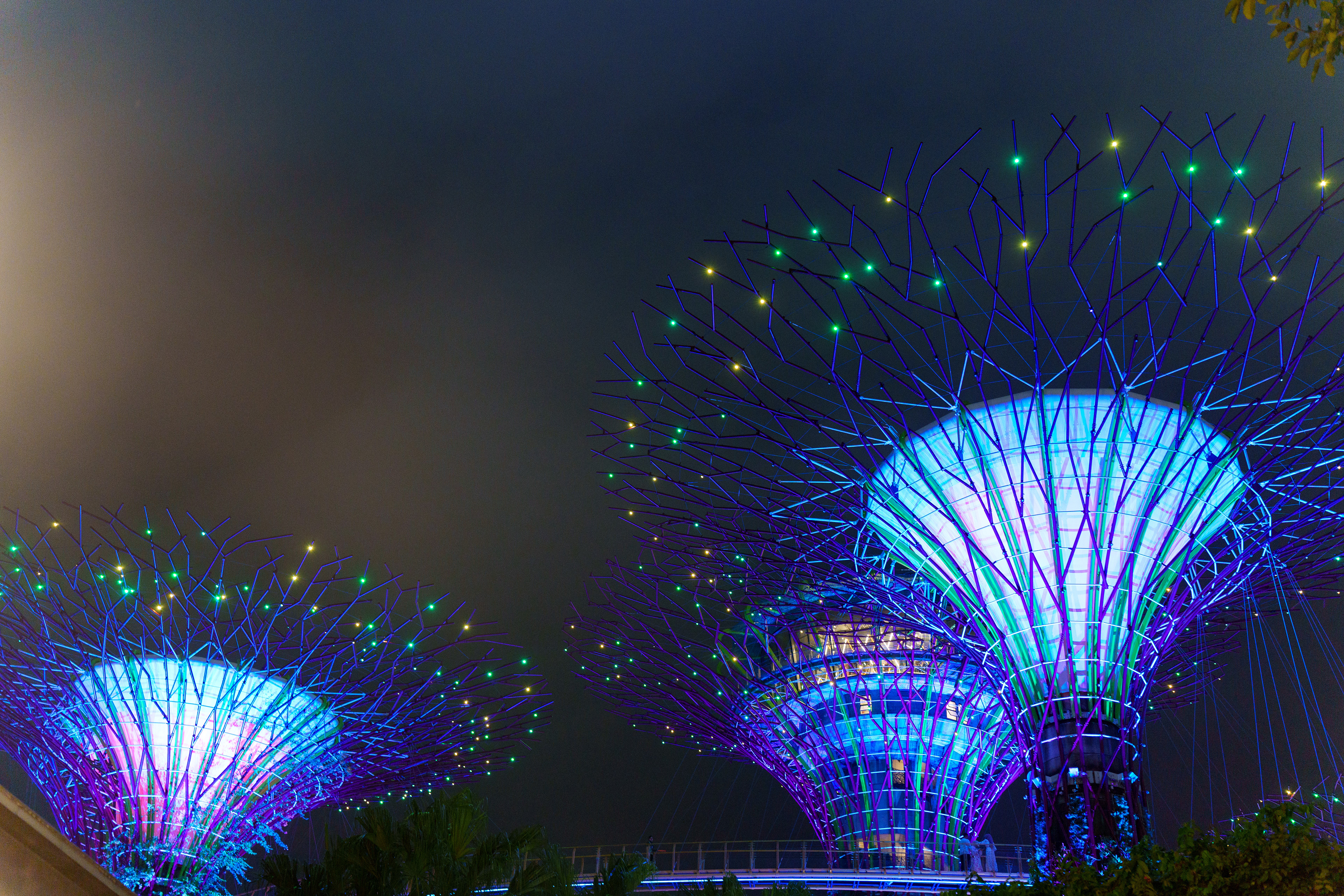 Show nocturne , point de vue gratuit