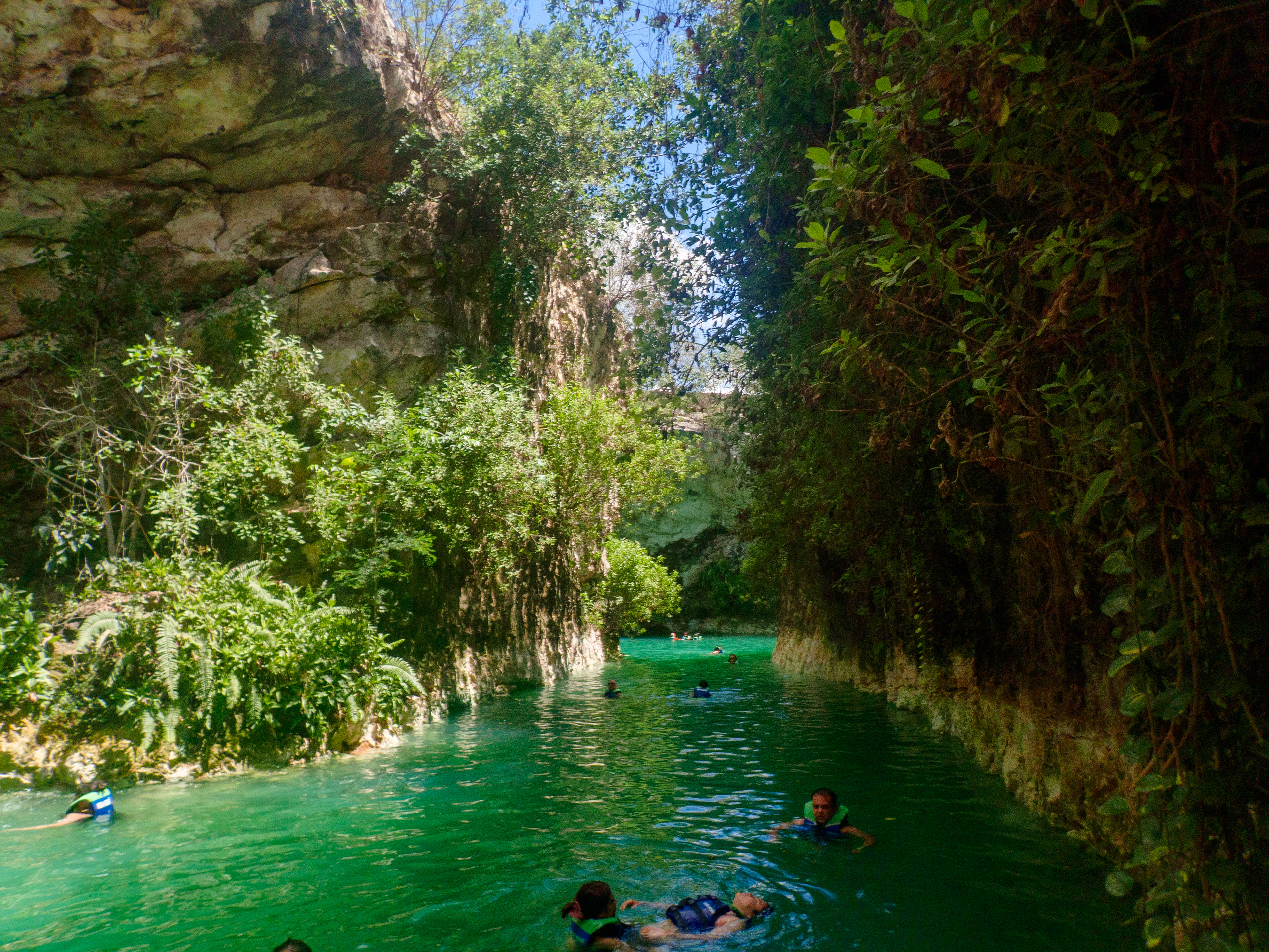 Cénote Pool Cocom, le plus grand et le plus ouvert