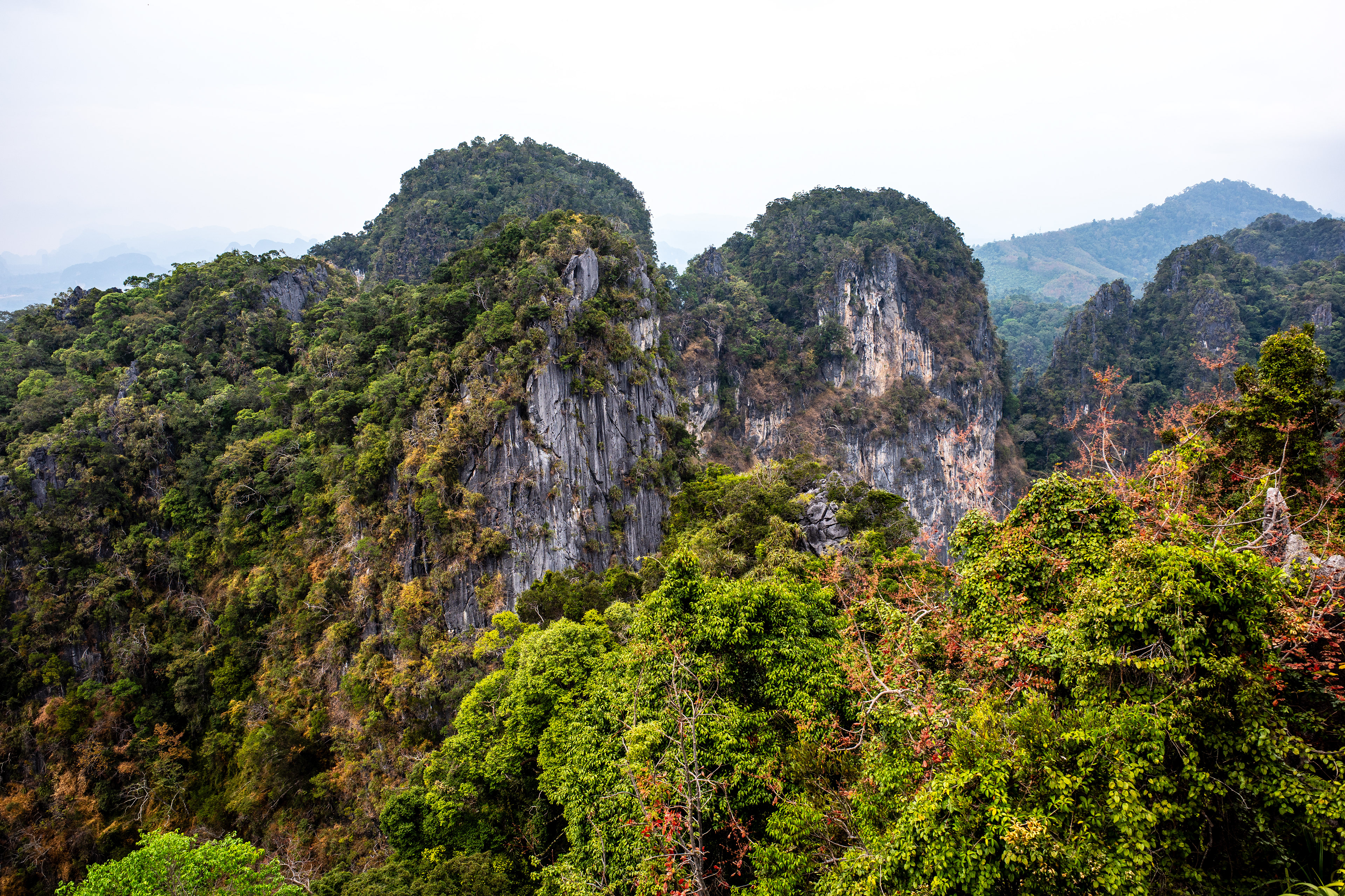 géologie typique de la région