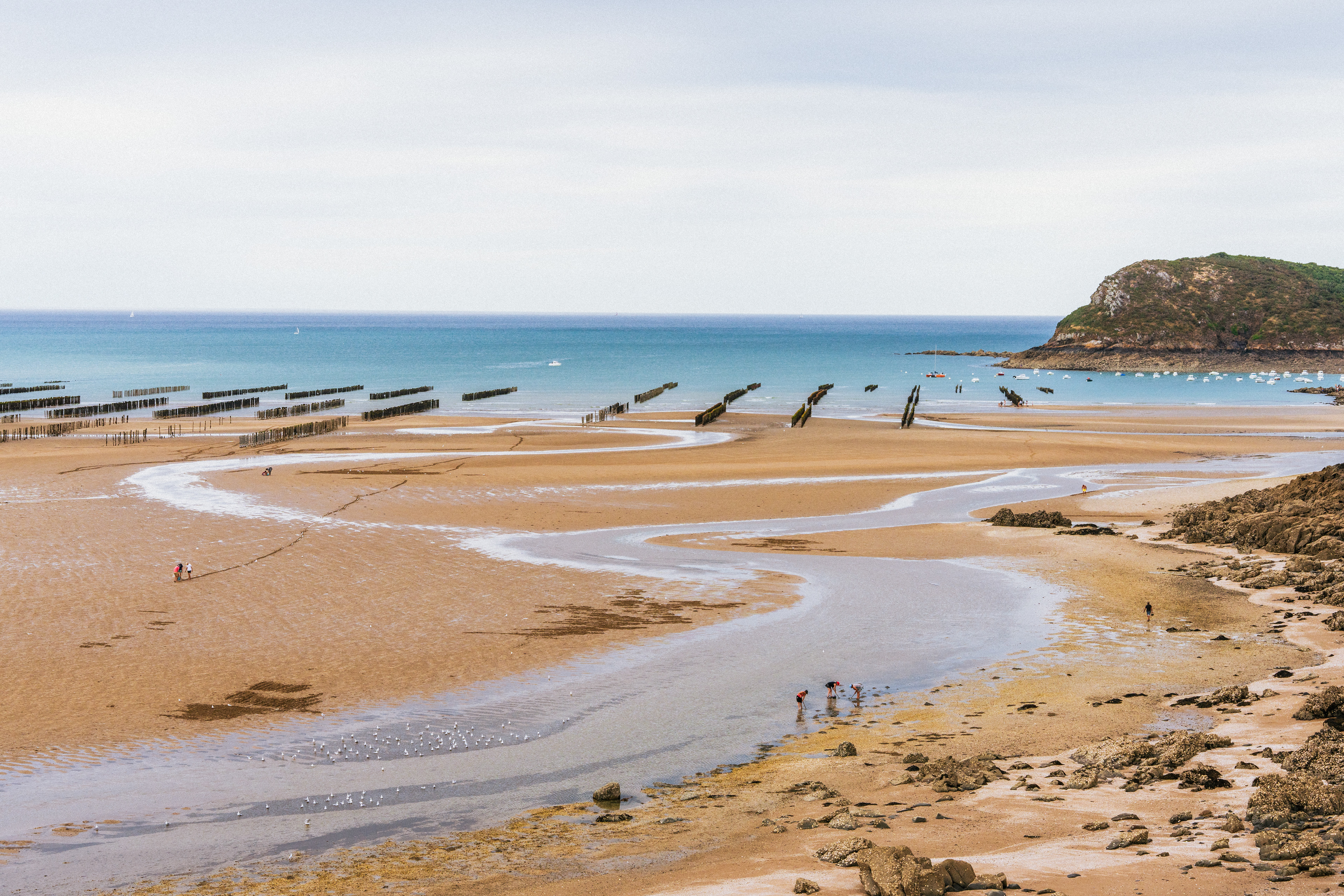 Elevage de moules