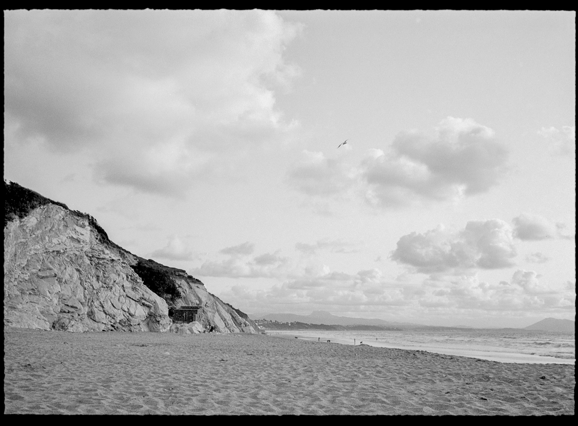 Pentax 17, Ilford XP2