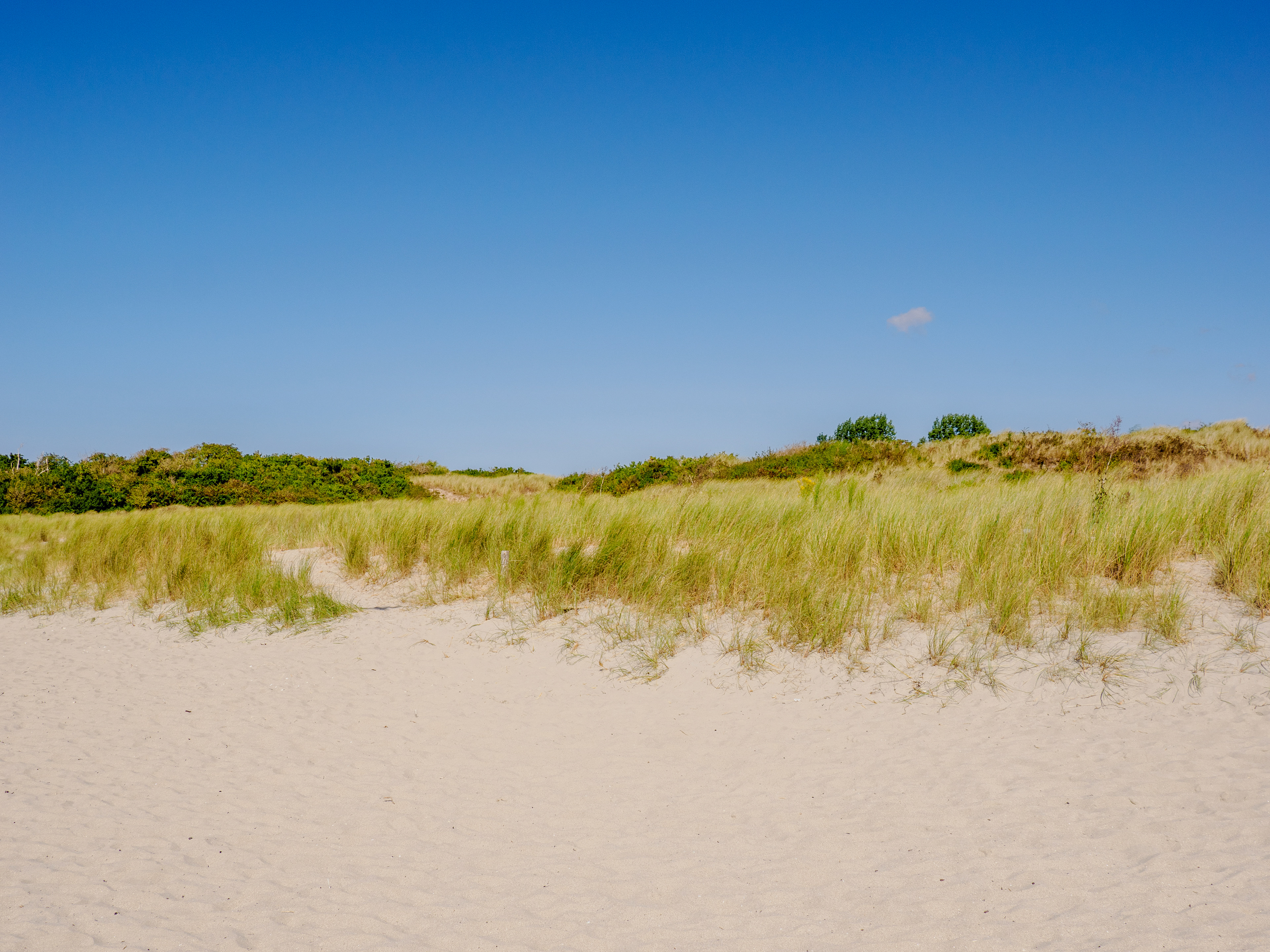 passage dans les dunes
