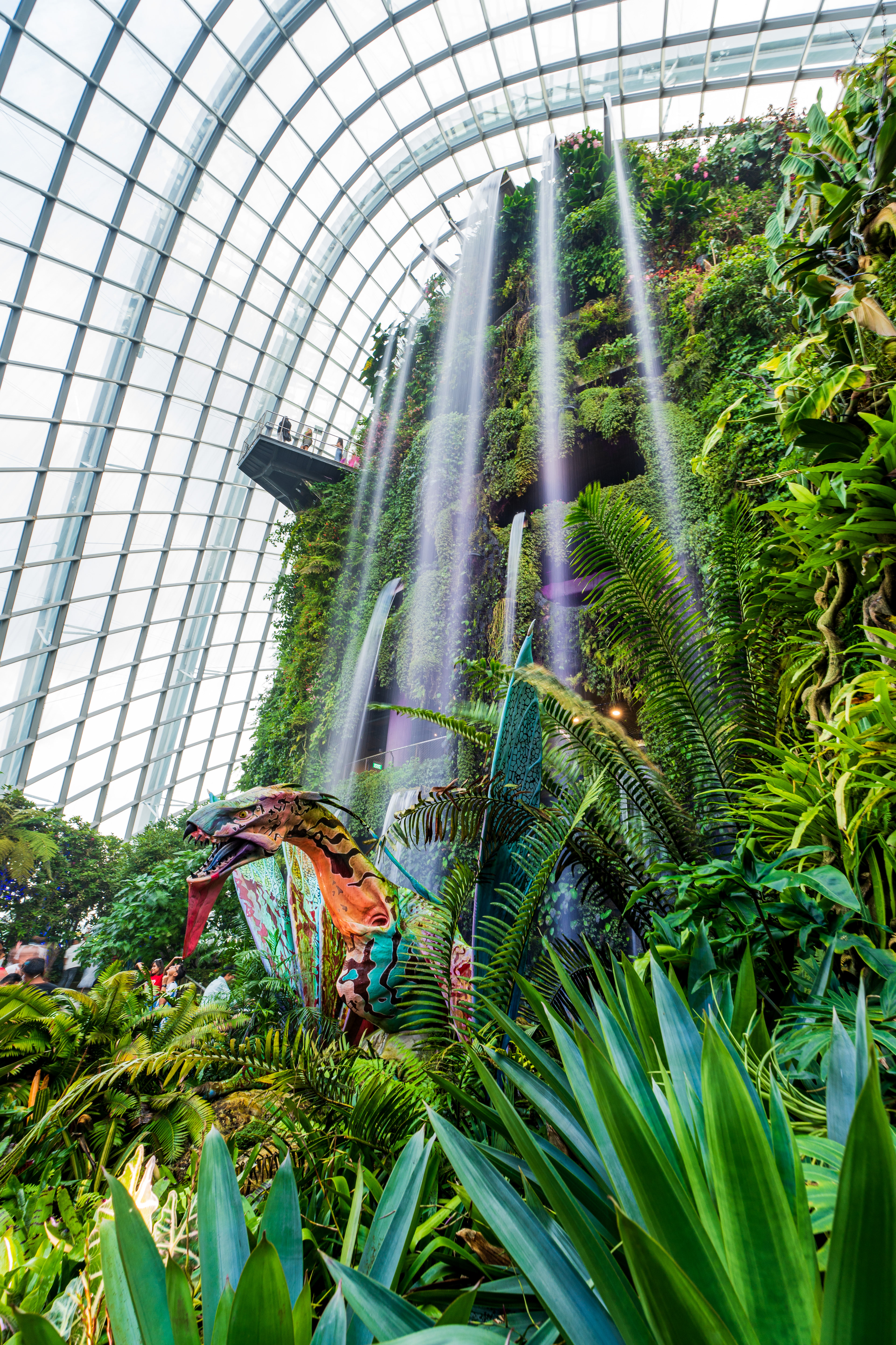 Cloud Forest
