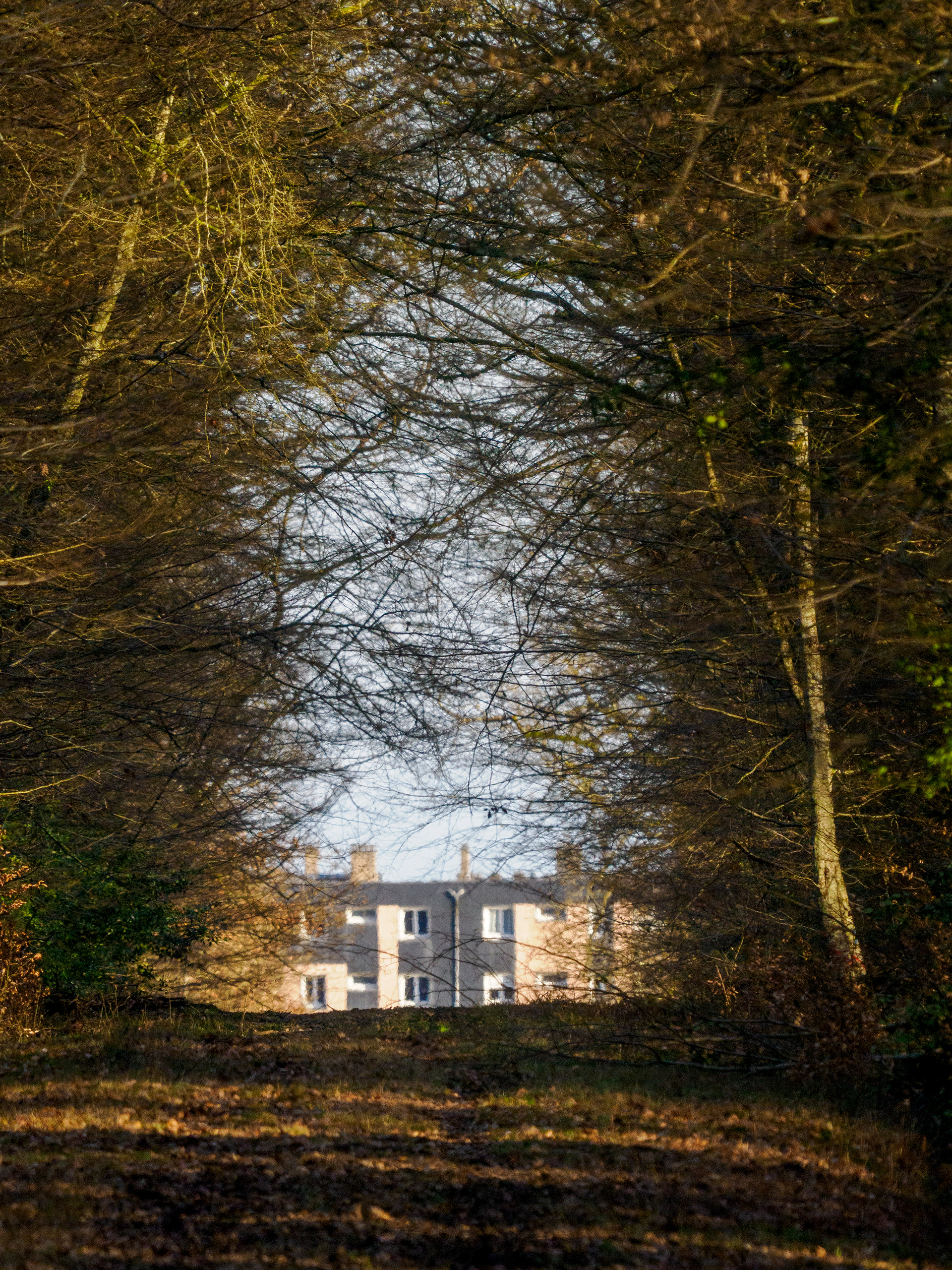 ville et forêt