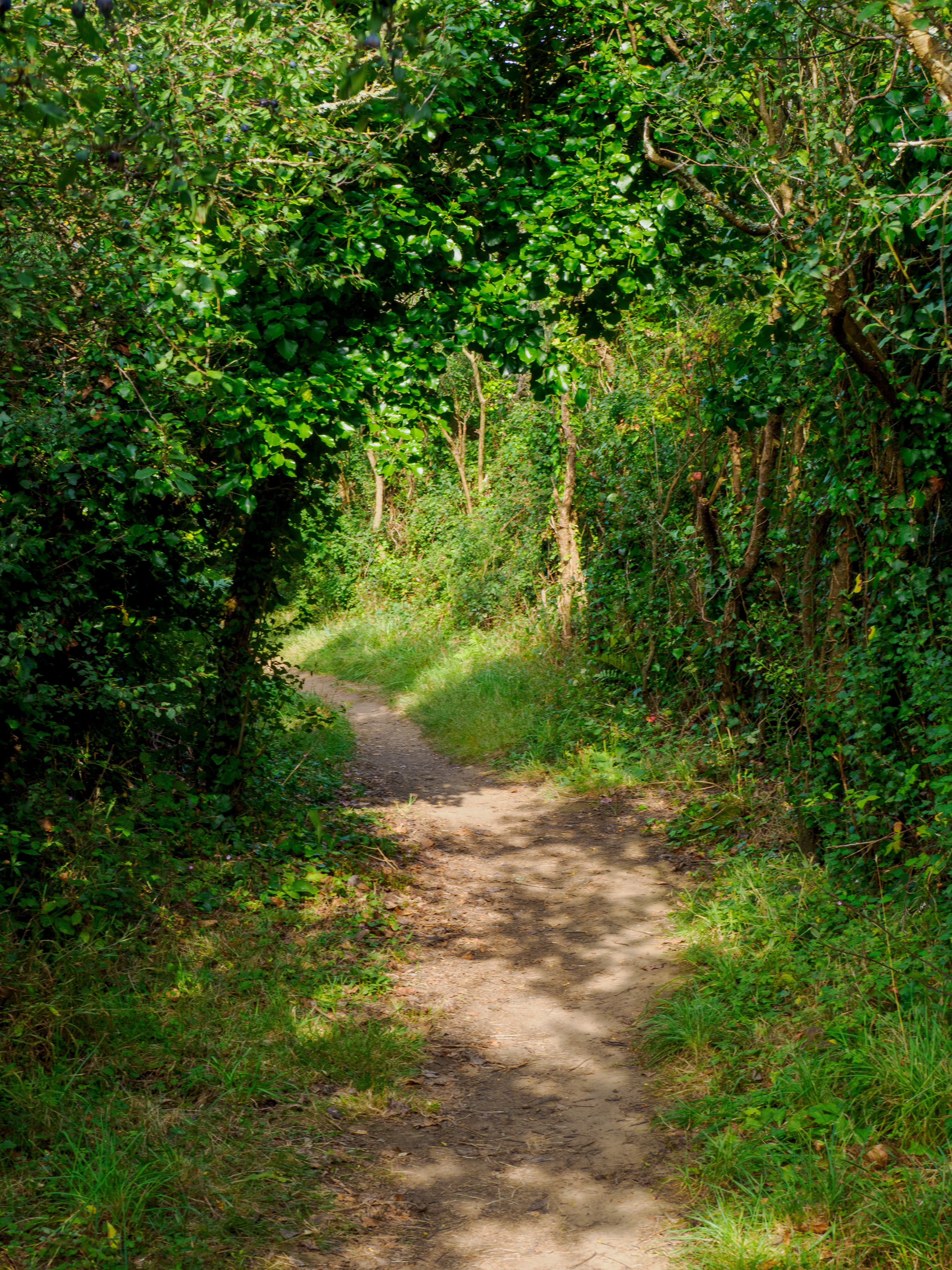 sentier des douaniers