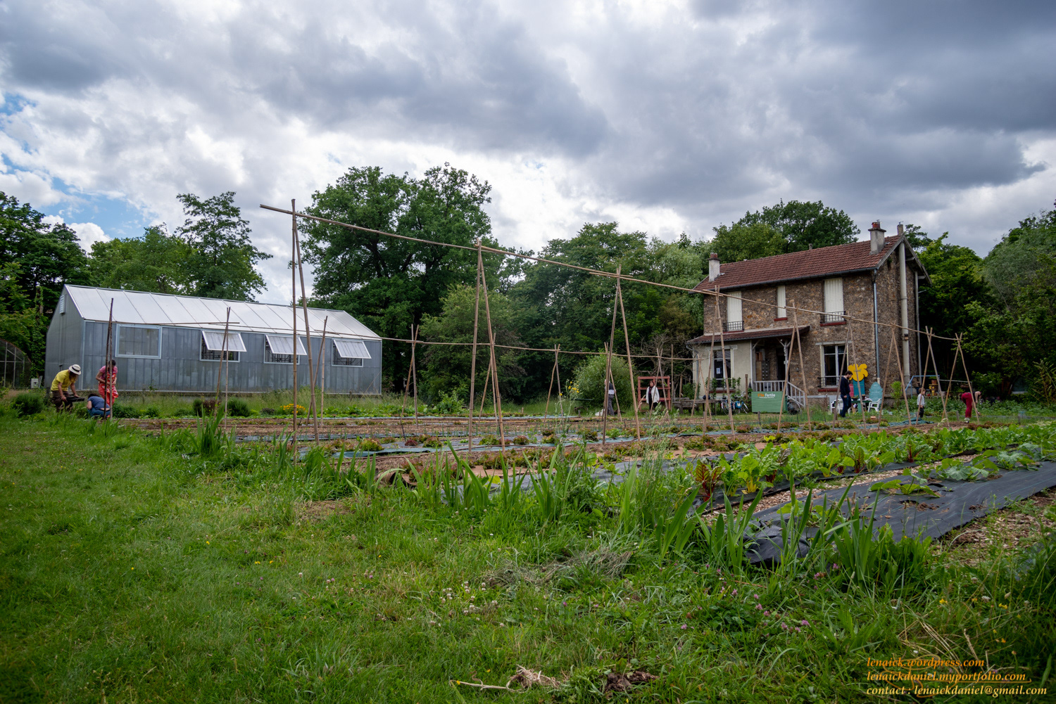 V’île Fertile -ferme urbaine participative