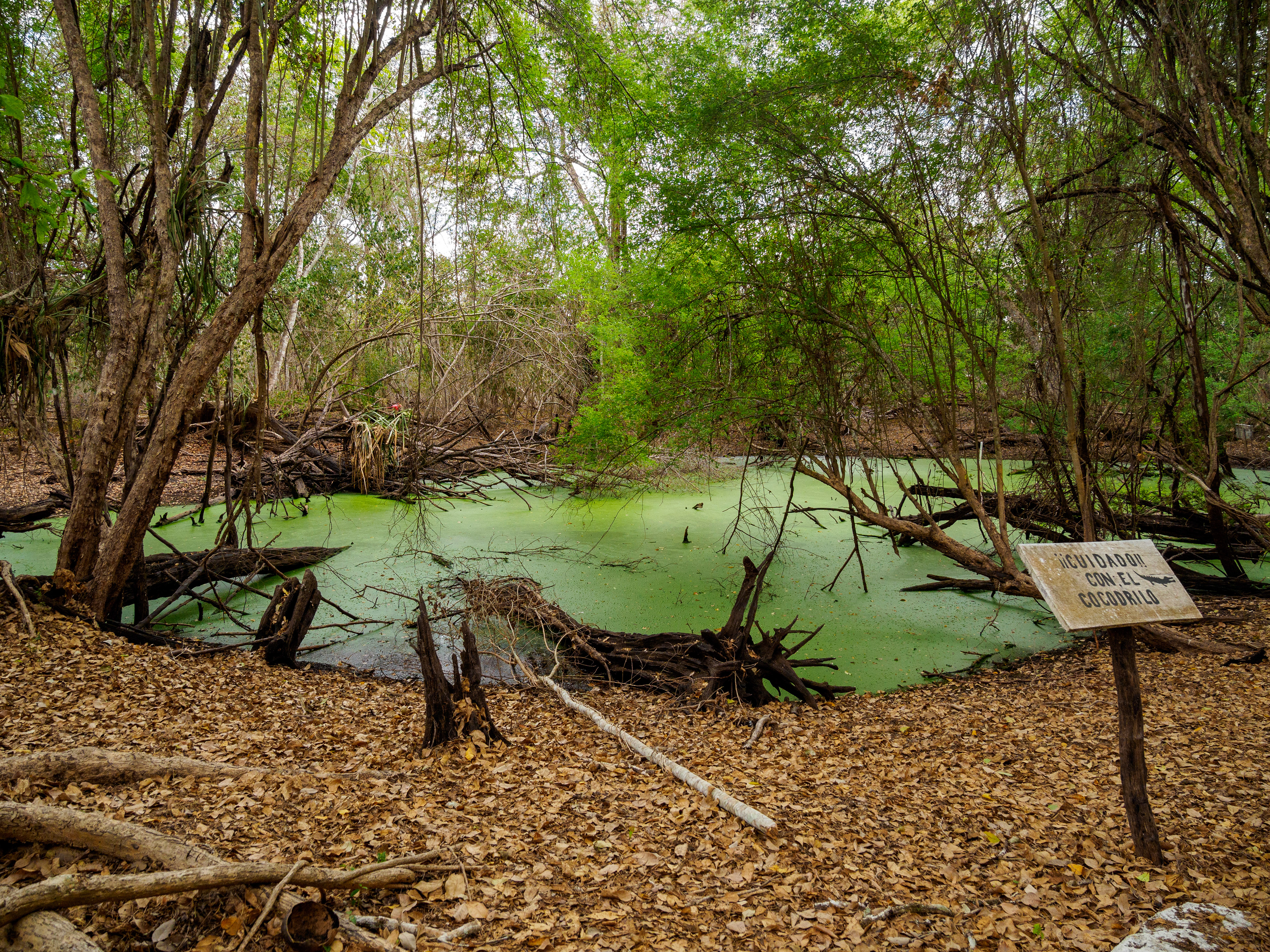lac aux crocodiiles ... que l'on a pas vus...