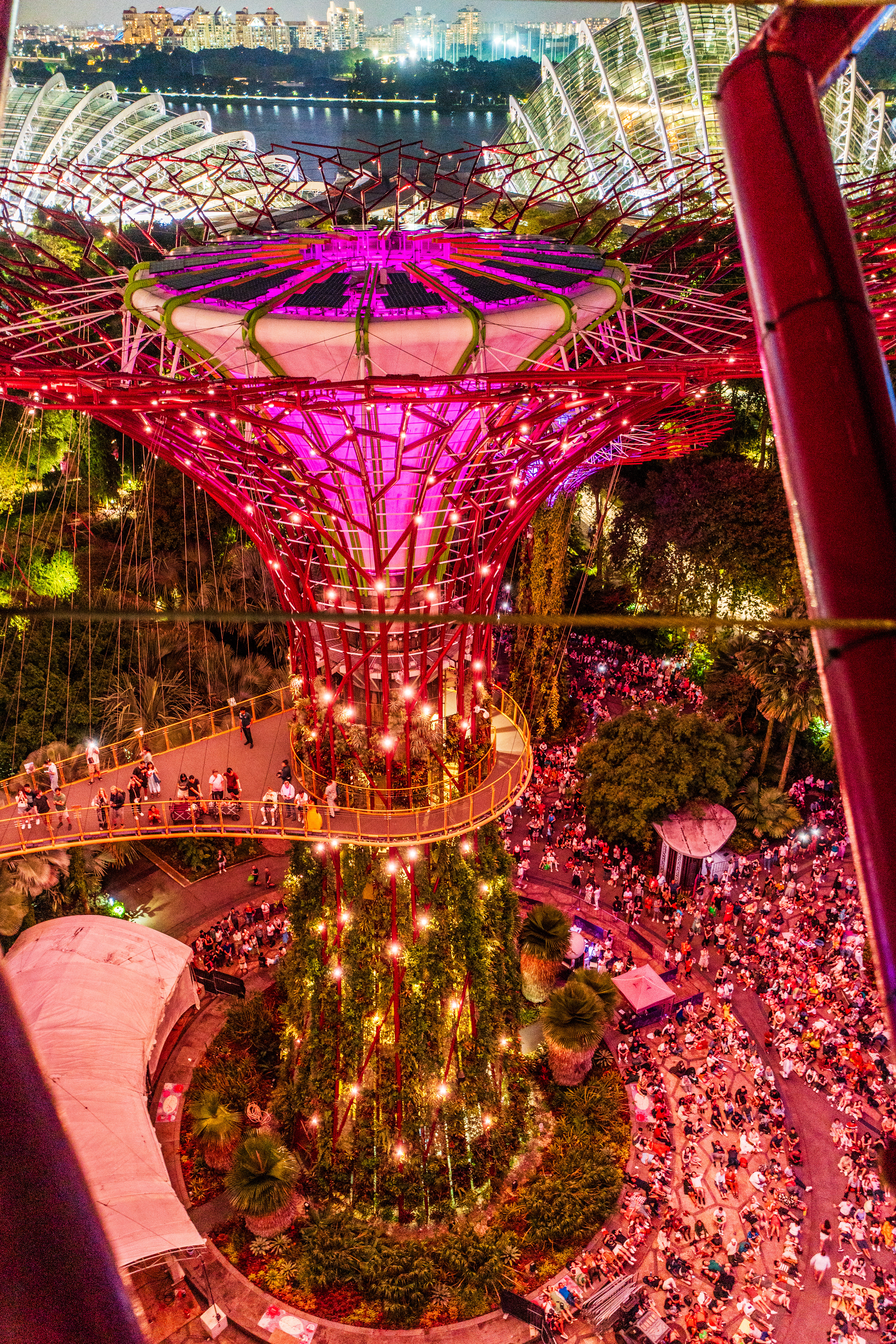 show depuis un Vue depuis un des Supertrees