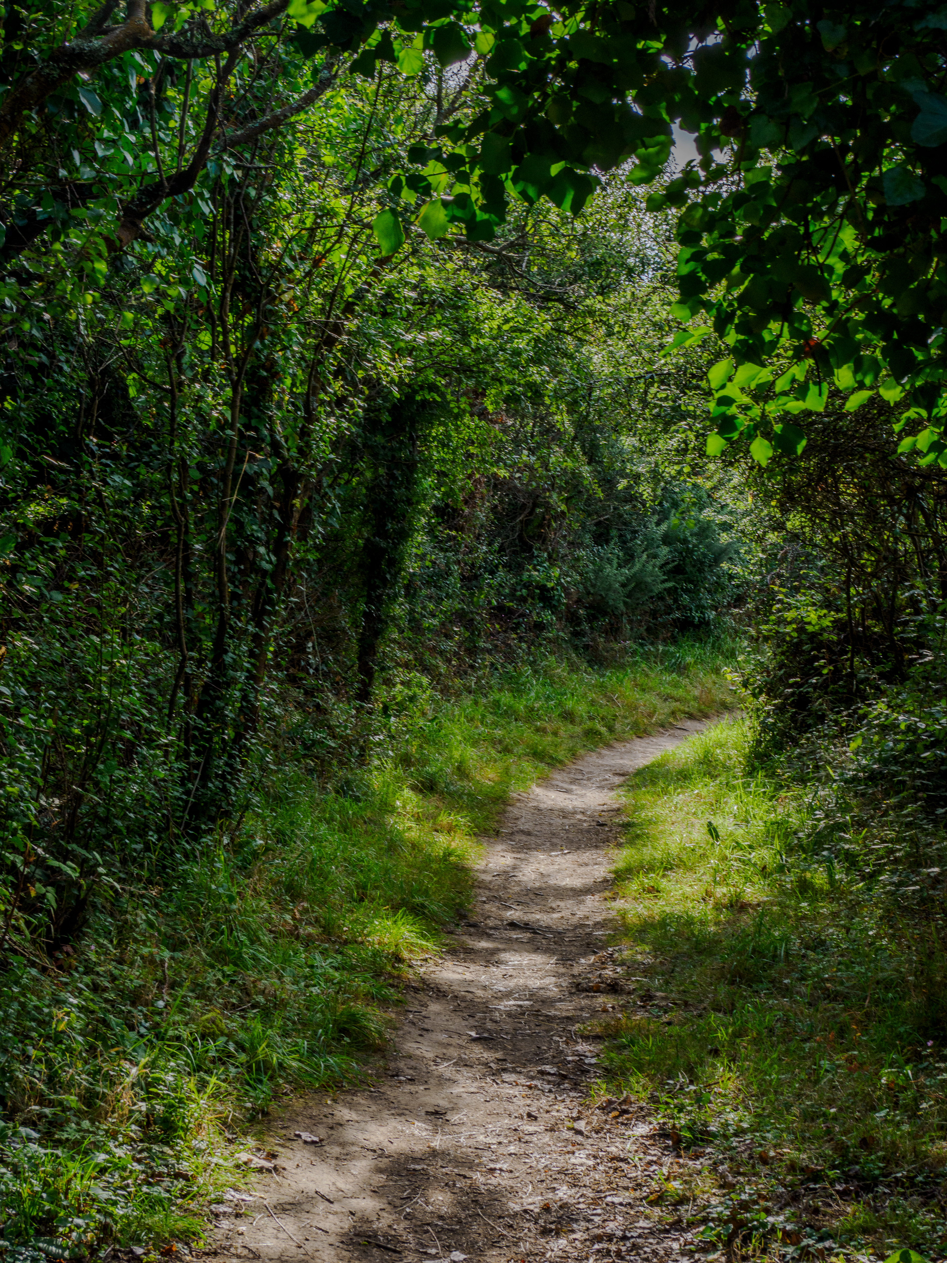 Sentier des douaniers
