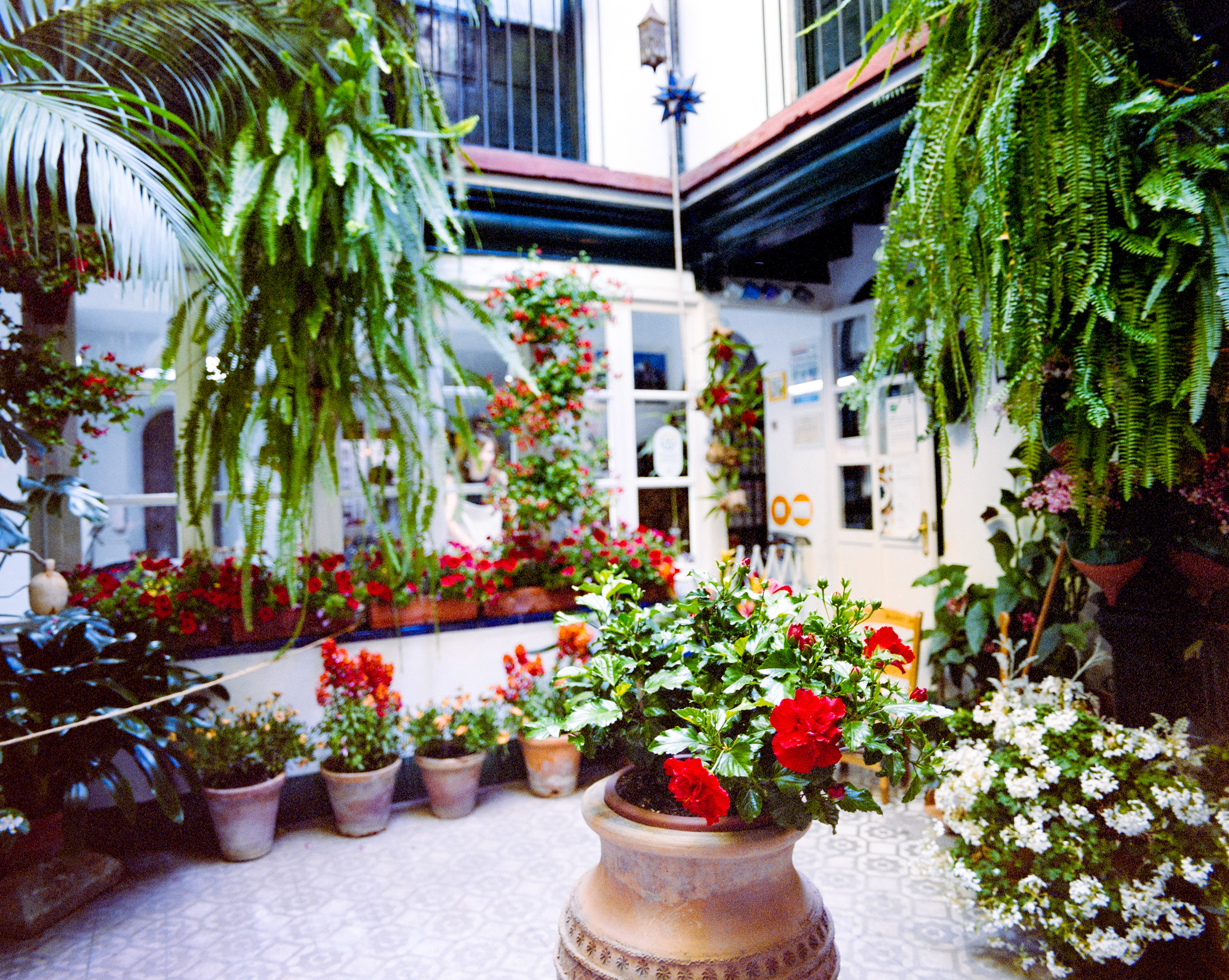 patio en argentique