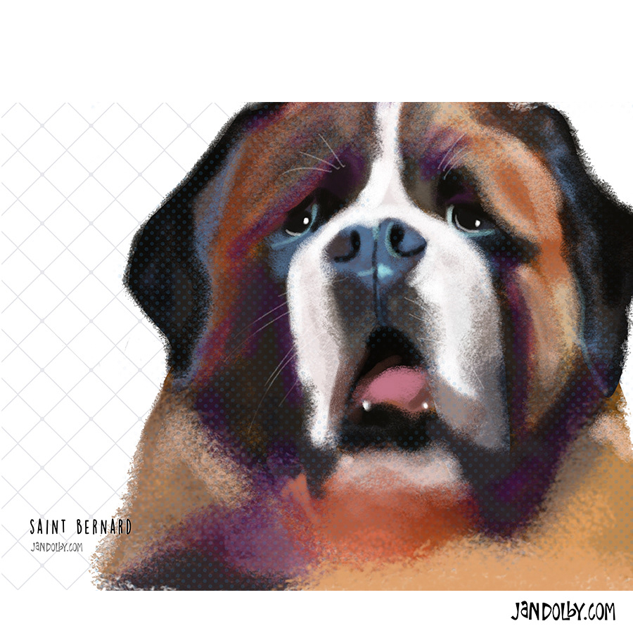 St. Bernard by Jan Dolby