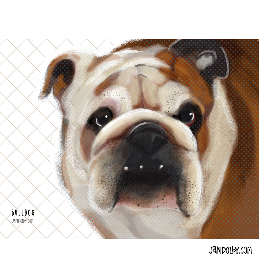 Bulldog by Jan Dolby