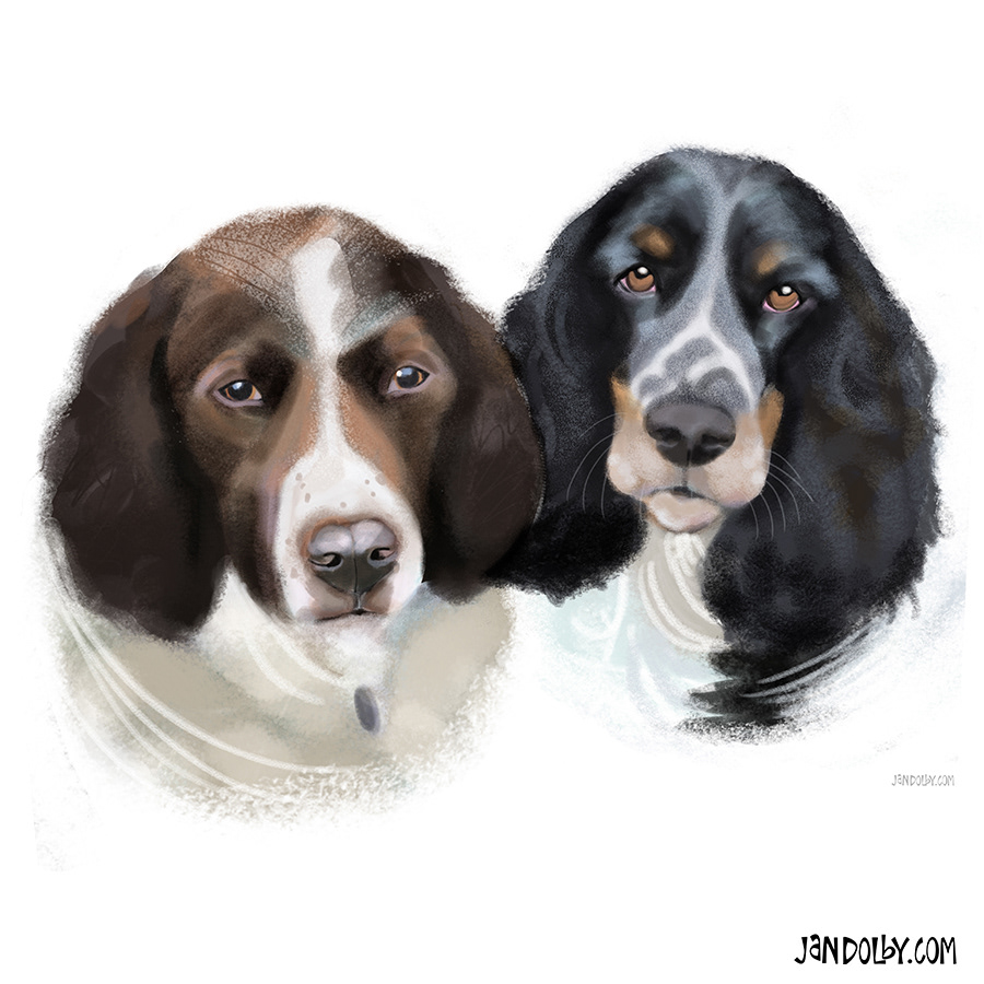 Spaniels by Jan Dolby