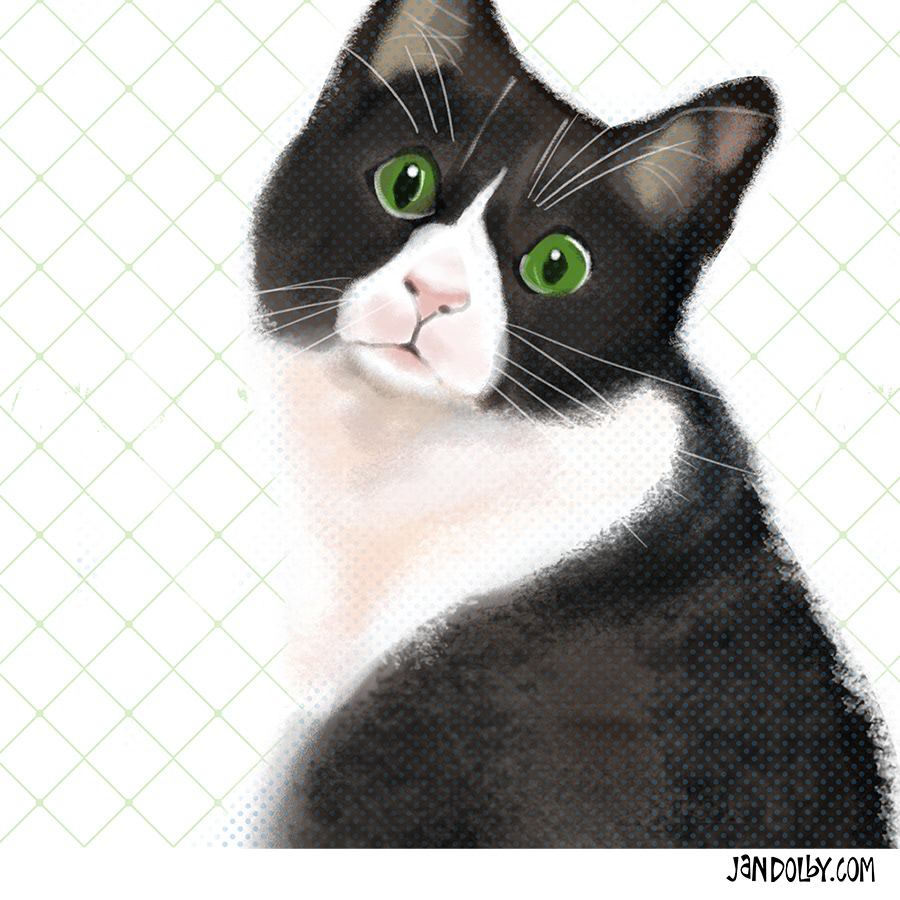 Tuxedo cat by Jan Dolby