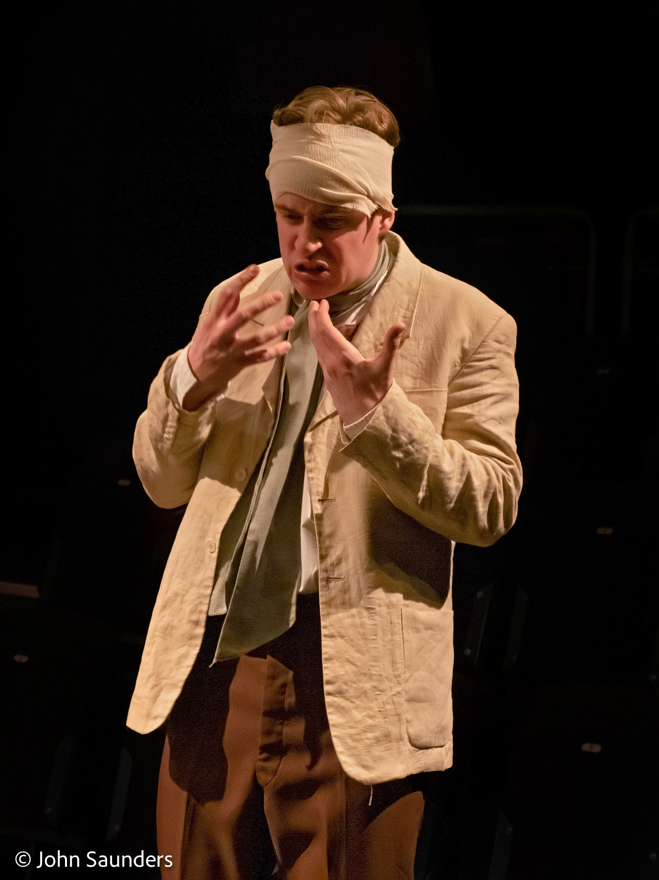 The Seagull
