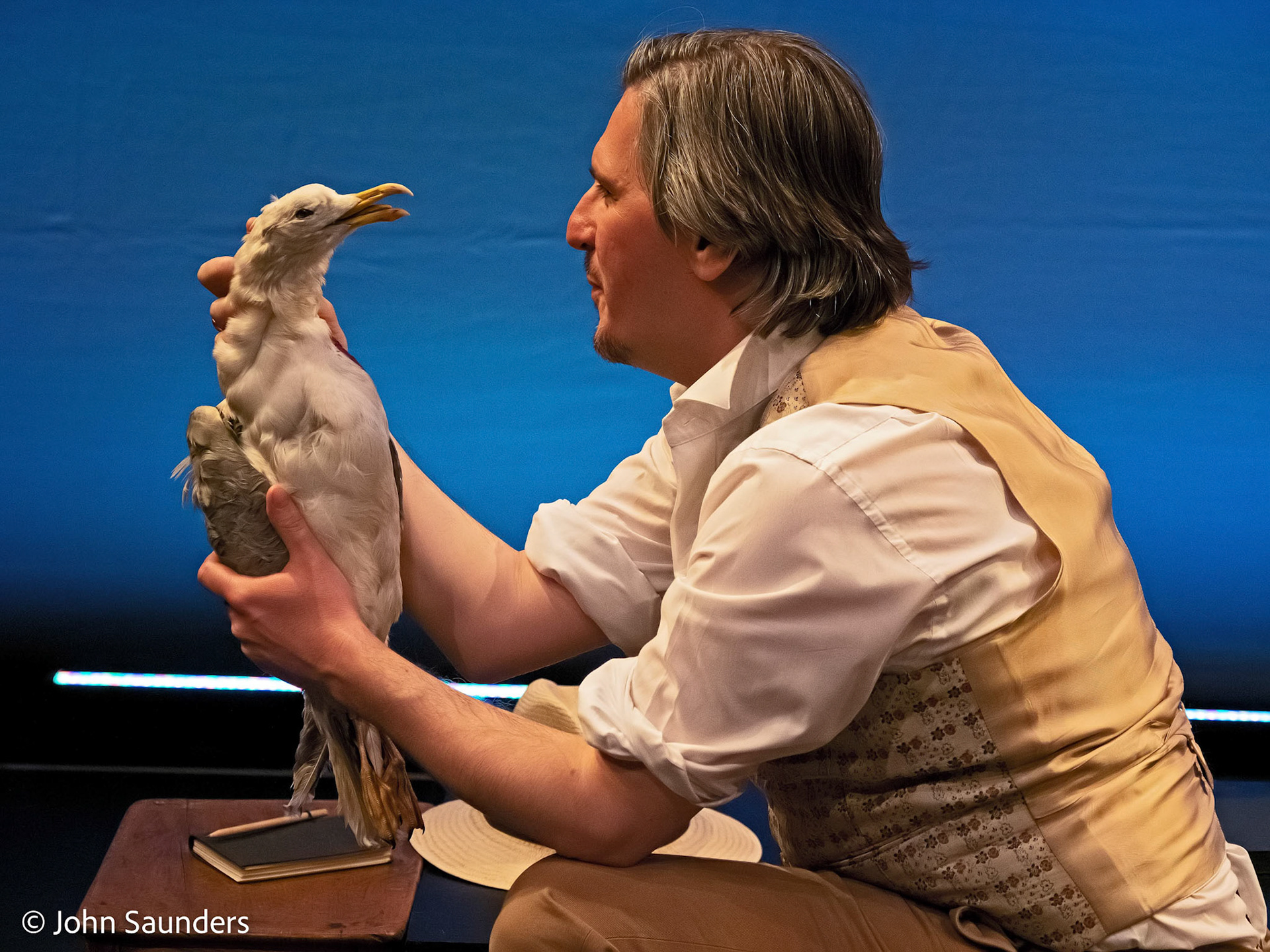 The Seagull