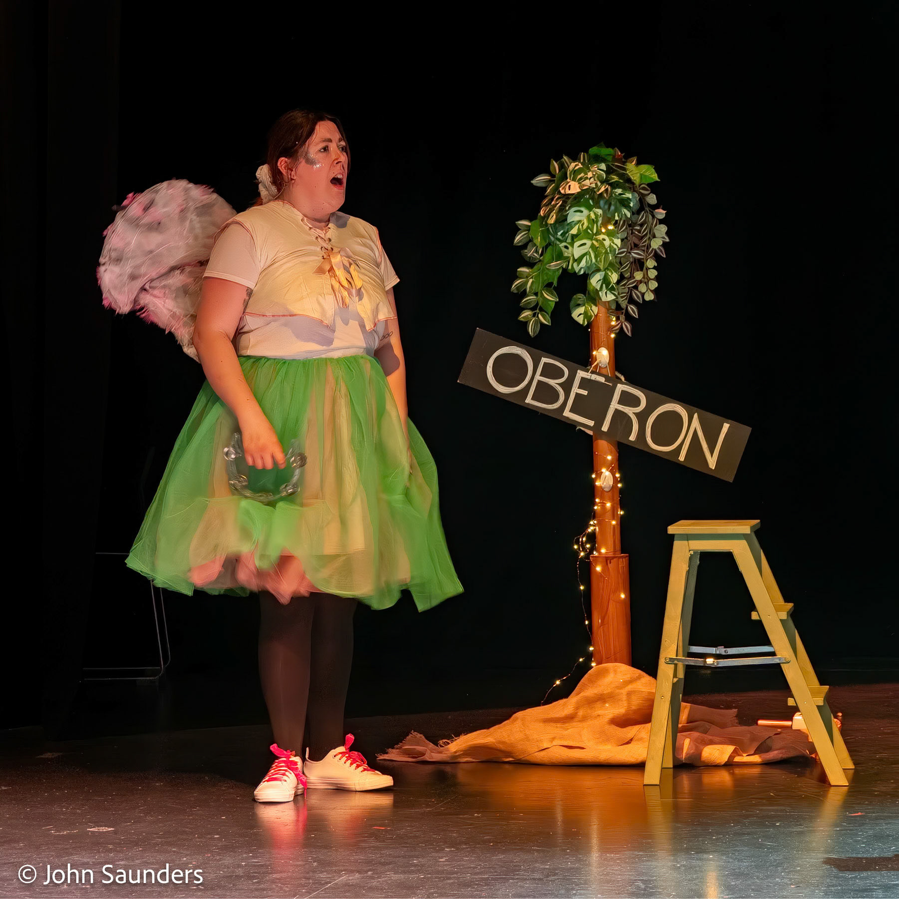 A Midsummer Night's Mischief