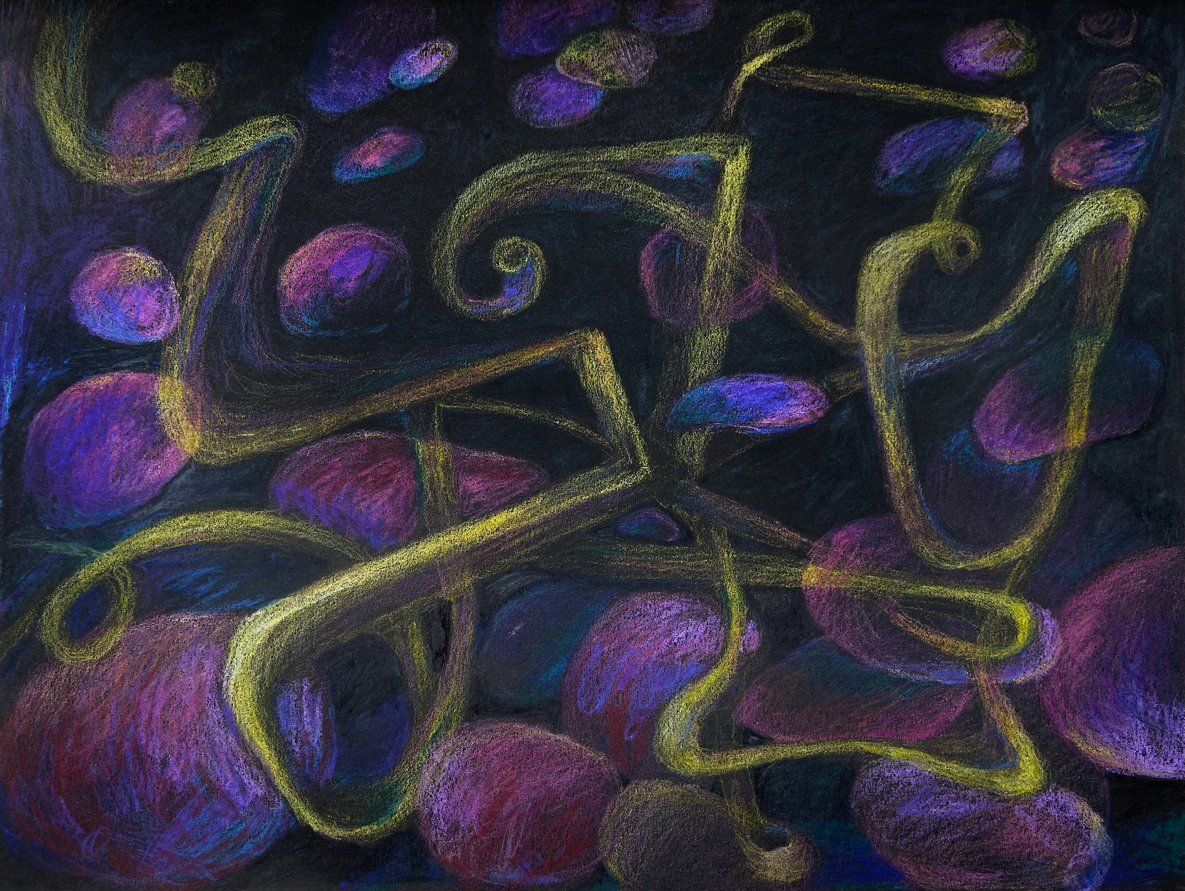 colored pencil, 9 x 12, 2023