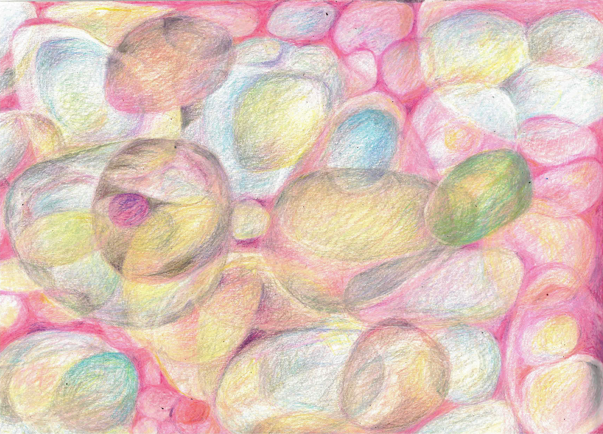 9 x 12,  colored pencil on paper, 2026