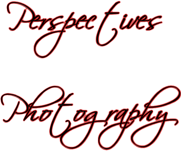 Perspectives Photography Group