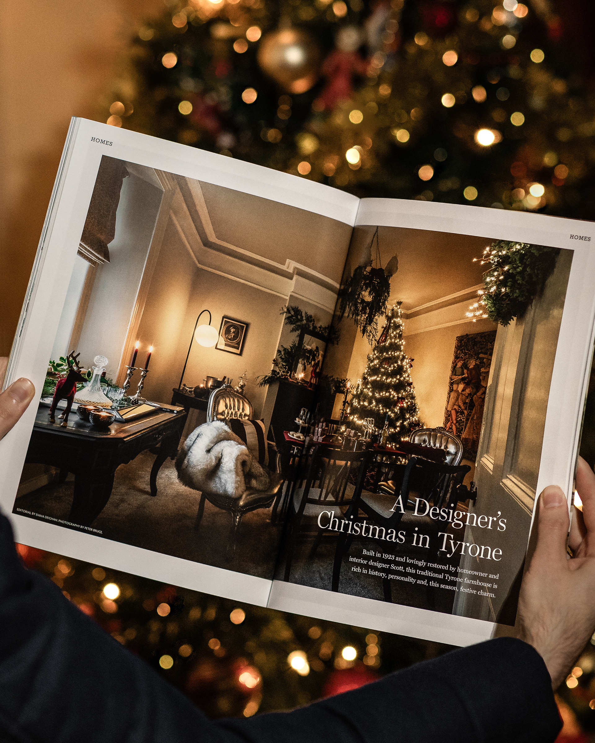Ireland's Homes Interiors & Living Magazine, Borumian Interior Design