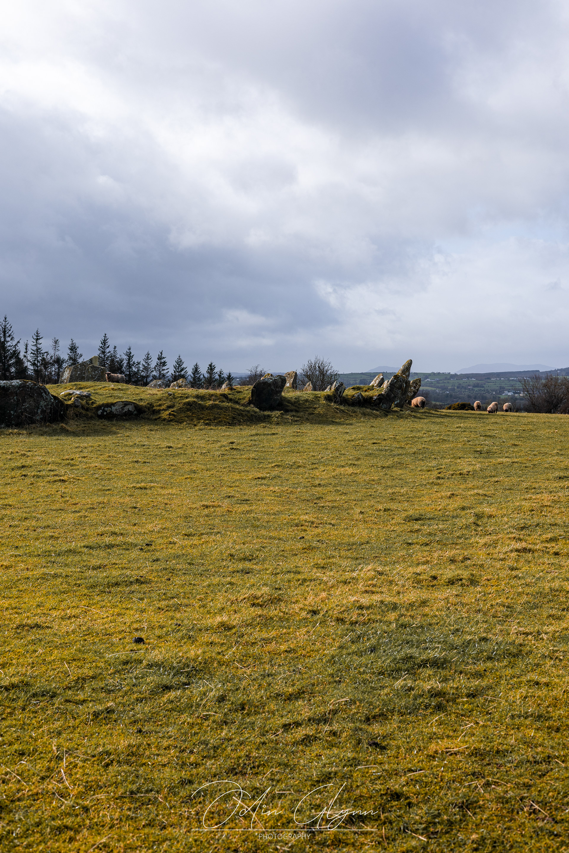 Beltany Stone Circle