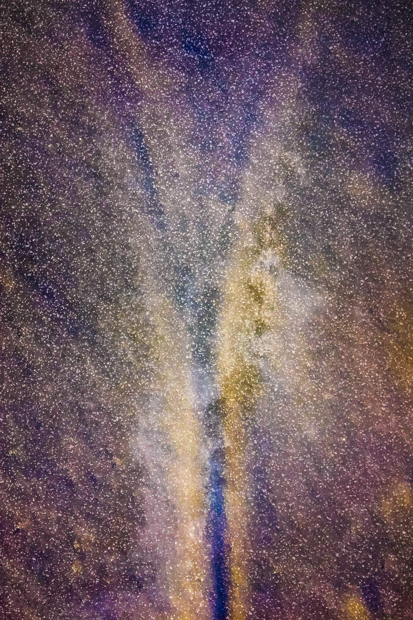 {"cameraType":"Wide","macroEnabled":false,"qualityMode":2,"deviceTilt":1.323233694830213,"customExposureMode":1,"extendedExposure":false,"whiteBalanceProgram":0,"cameraPosition":1,"focusMode":1}