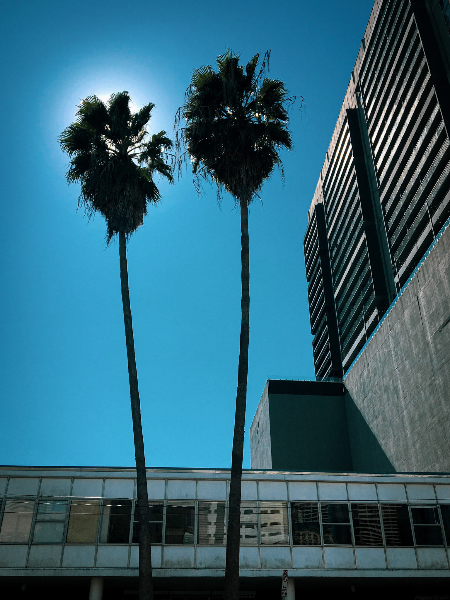 {"cameraType":"Wide","macroEnabled":false,"qualityMode":2,"deviceTilt":0.028145356974329516,"customExposureMode":0,"extendedExposure":false,"whiteBalanceProgram":0,"cameraPosition":1,"focusMode":0}