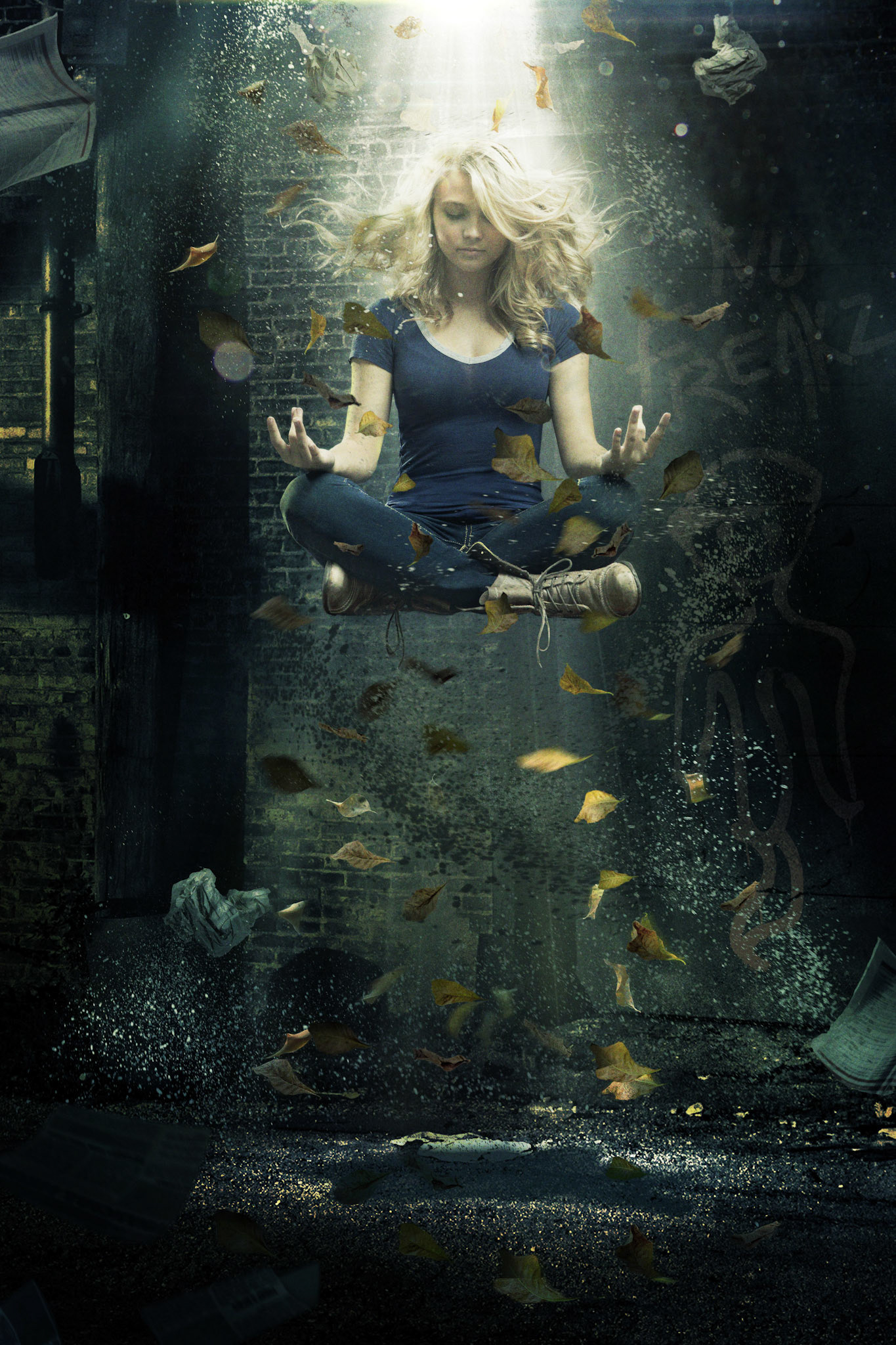 ZEN ~ cover illustration