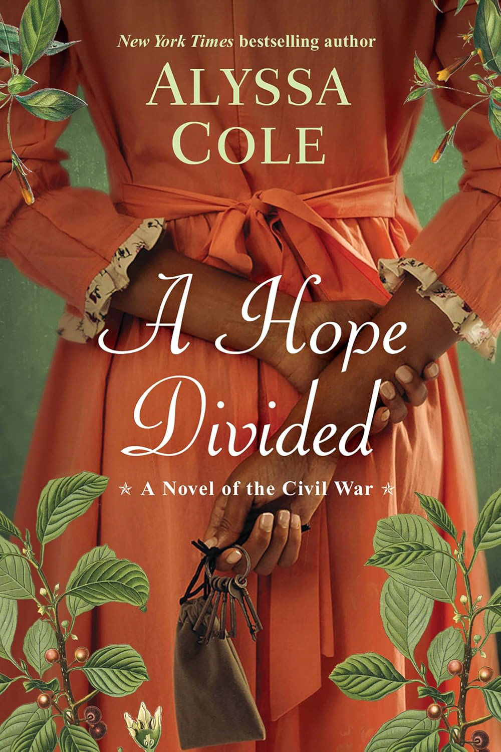A HOPE DIVIDED ~ cover illustration