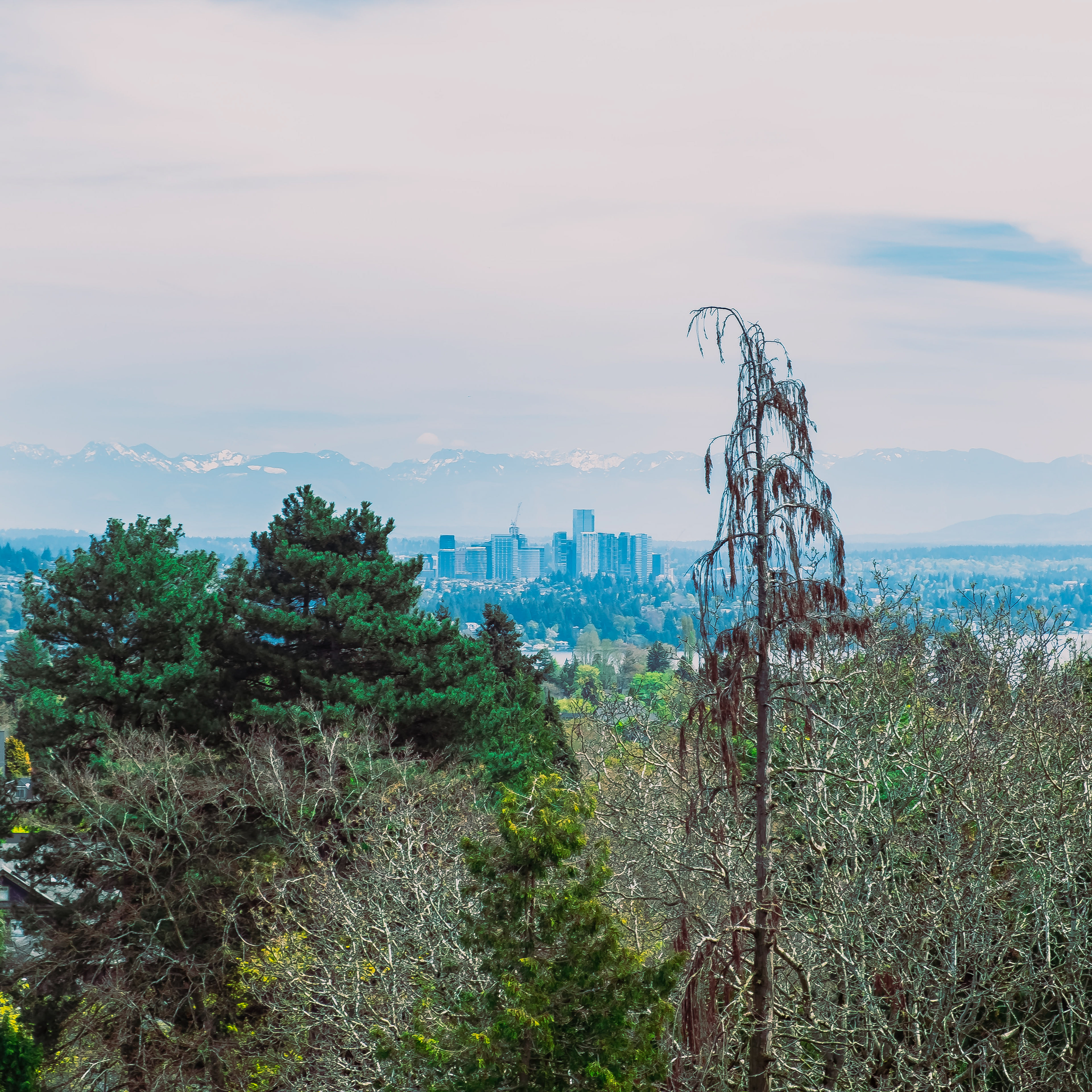 Seattle - Bellevue Skyline
