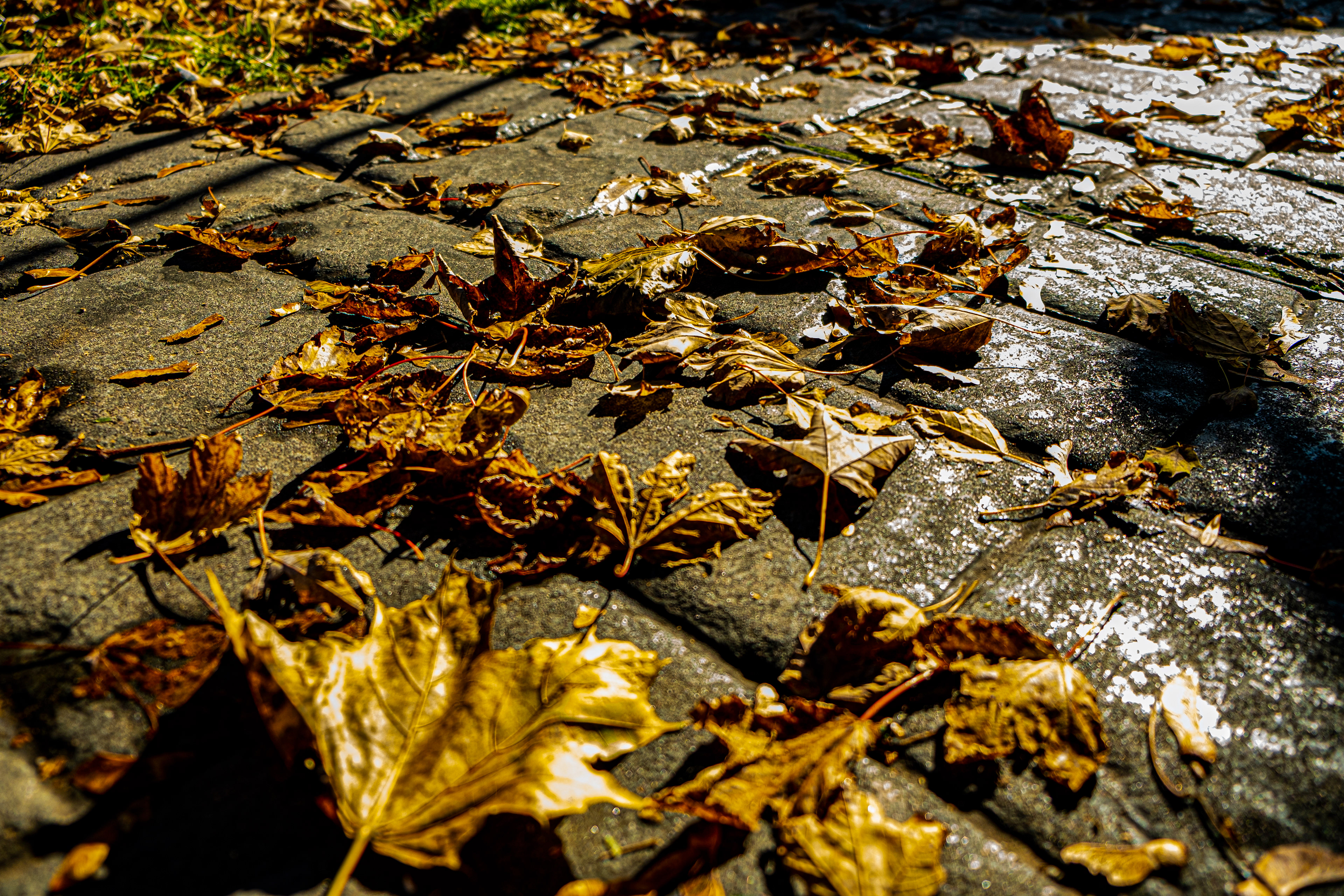 Door County - Sidewalk