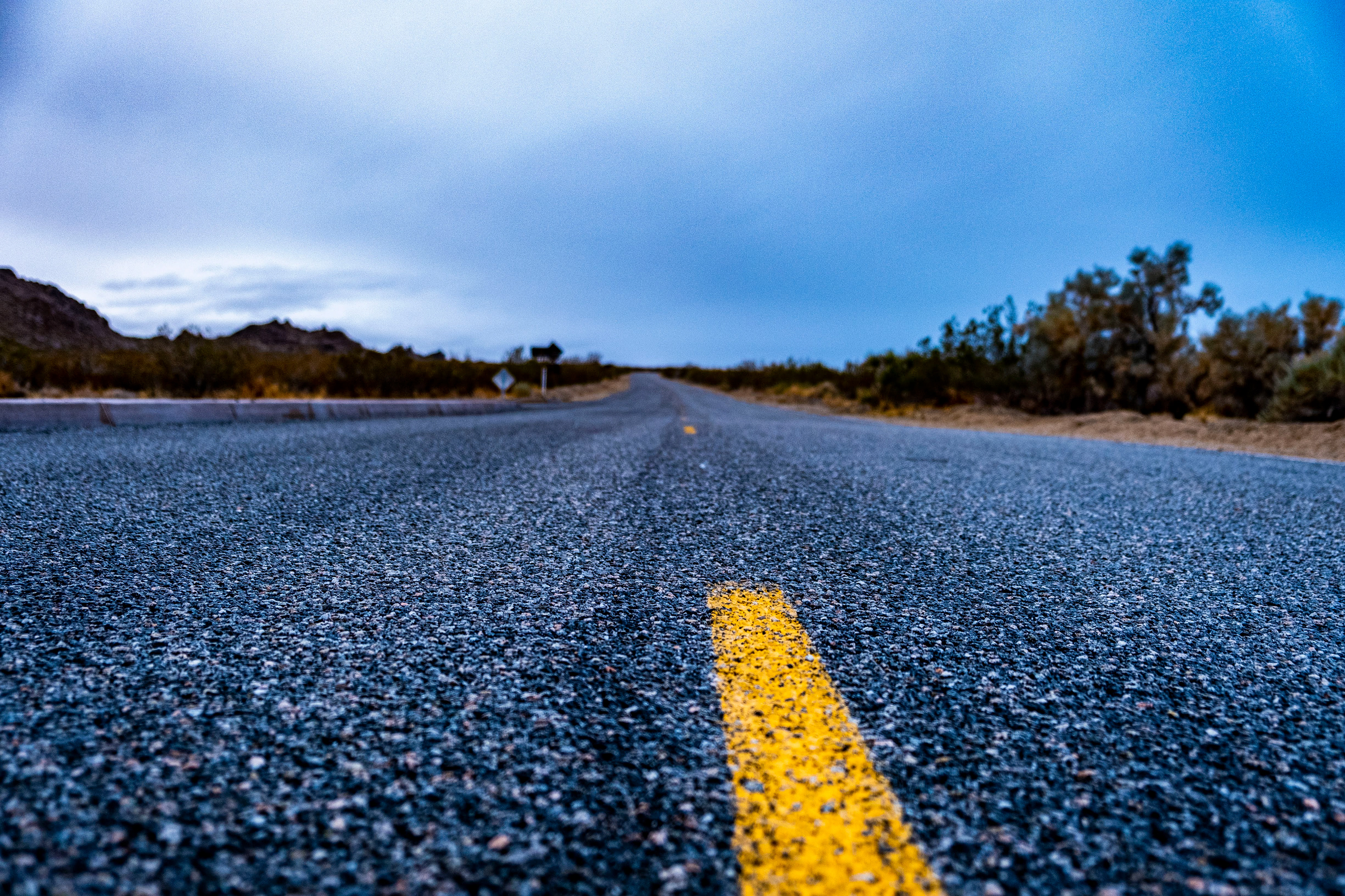 Jericho Tree State Park - Road