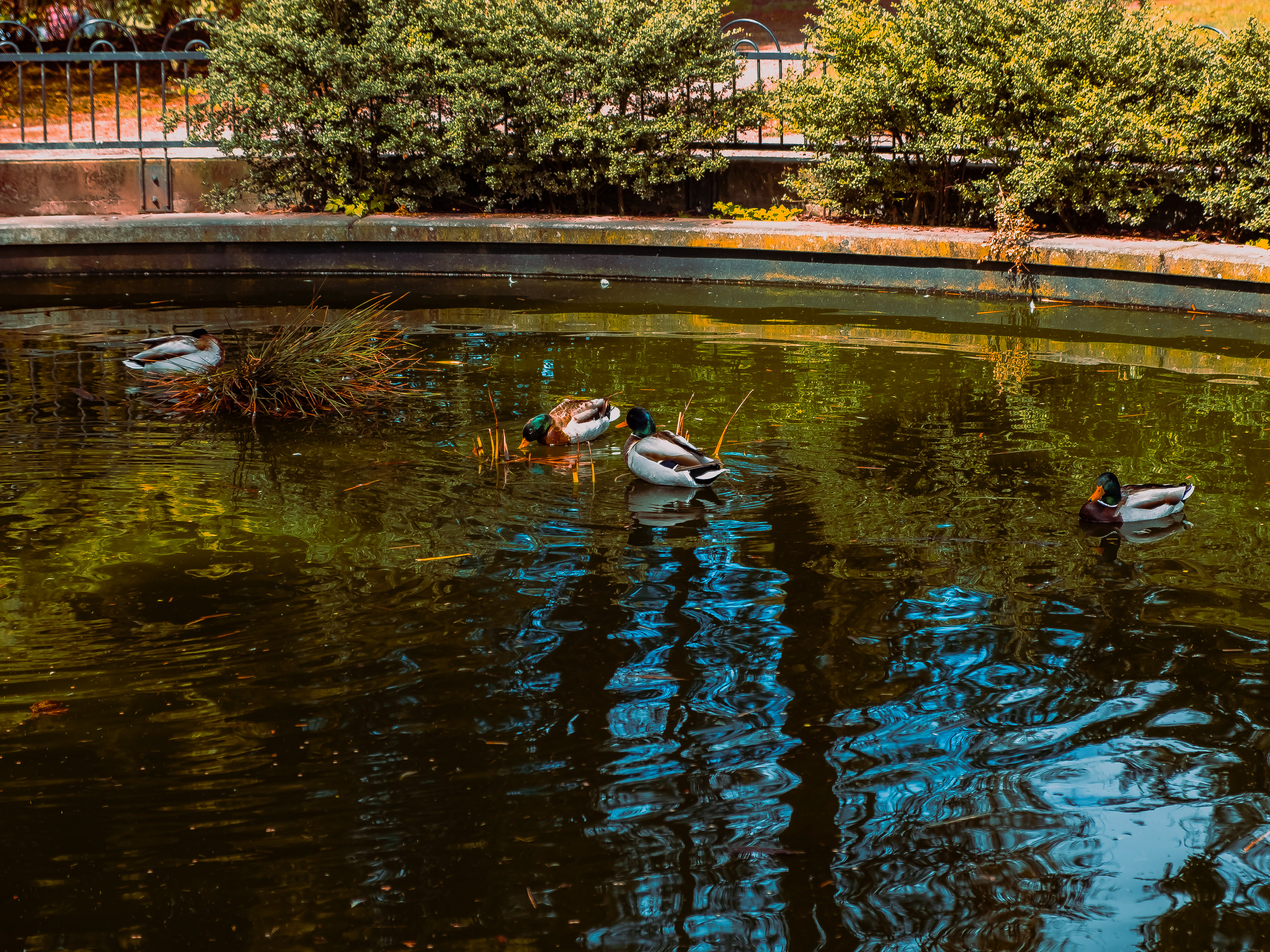 Seattle - Freedom Park