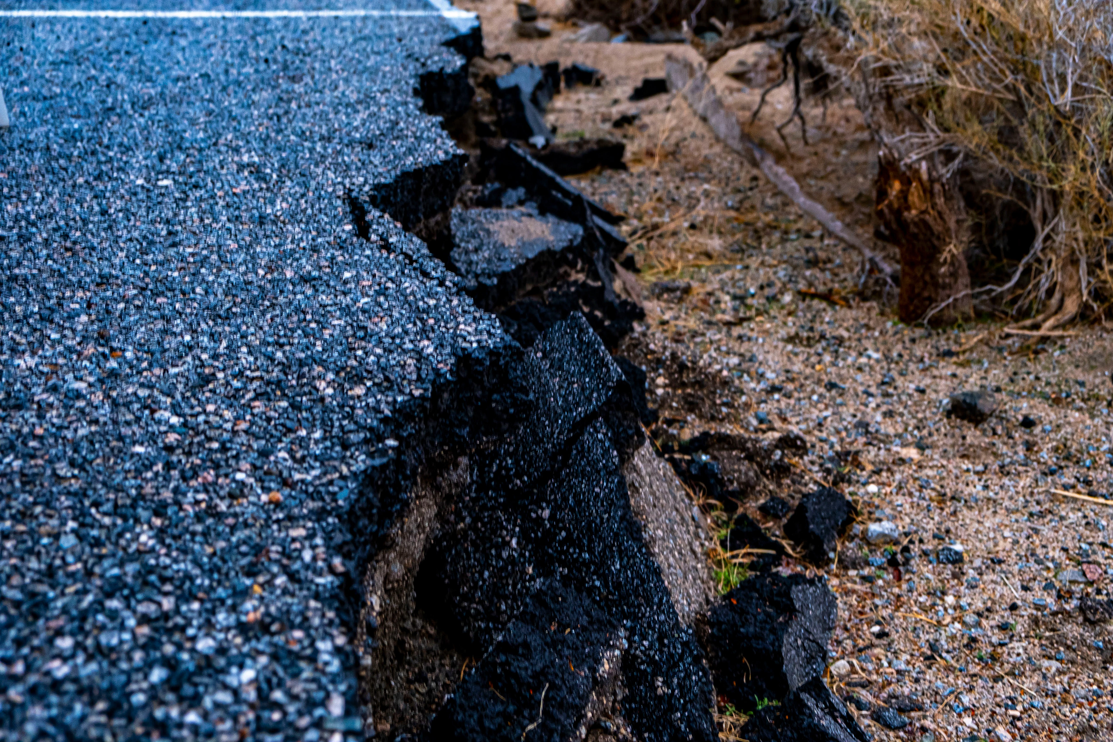 Broken Road - Jericho Tree State Park
