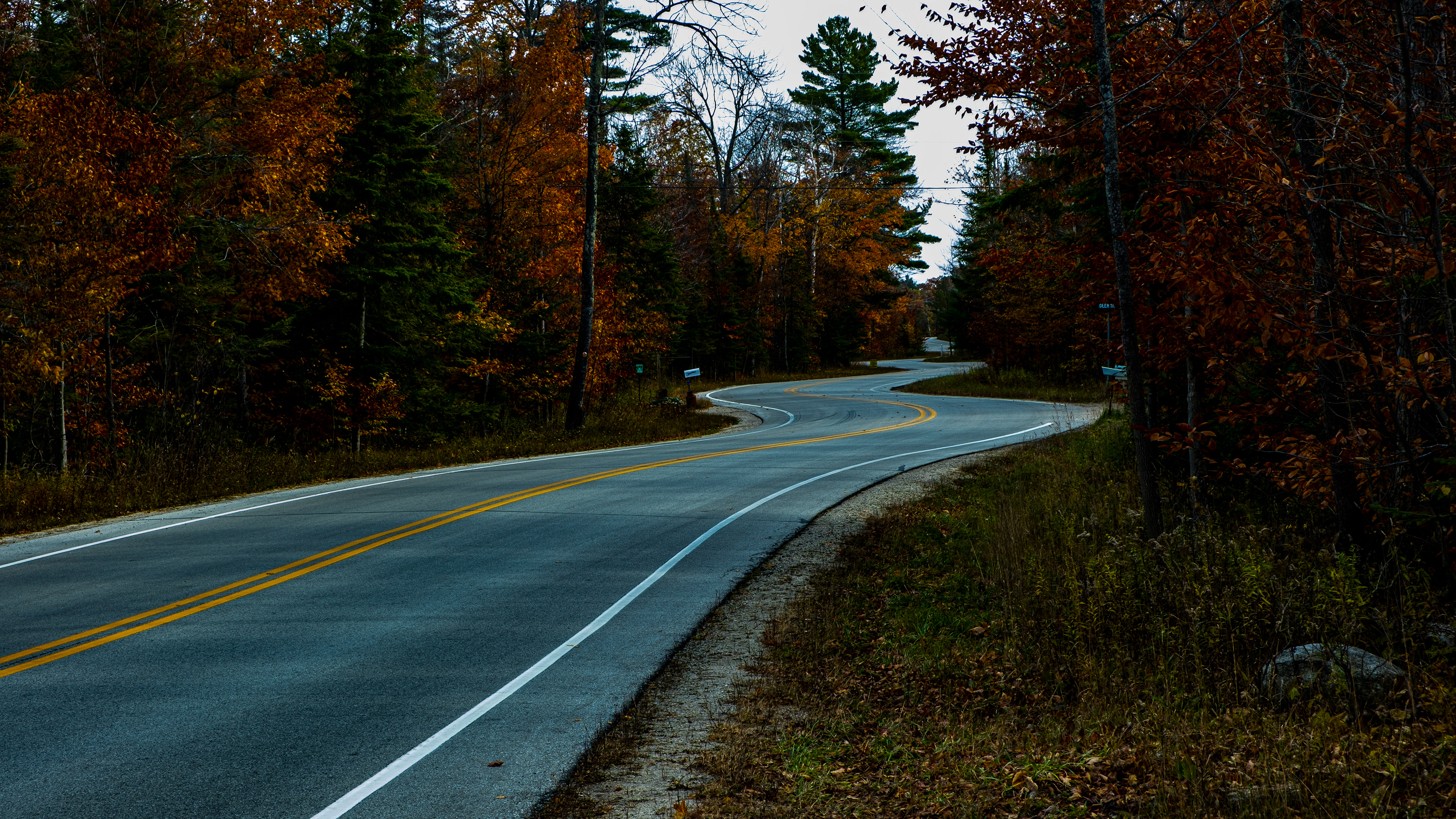 Winding Road - Door County