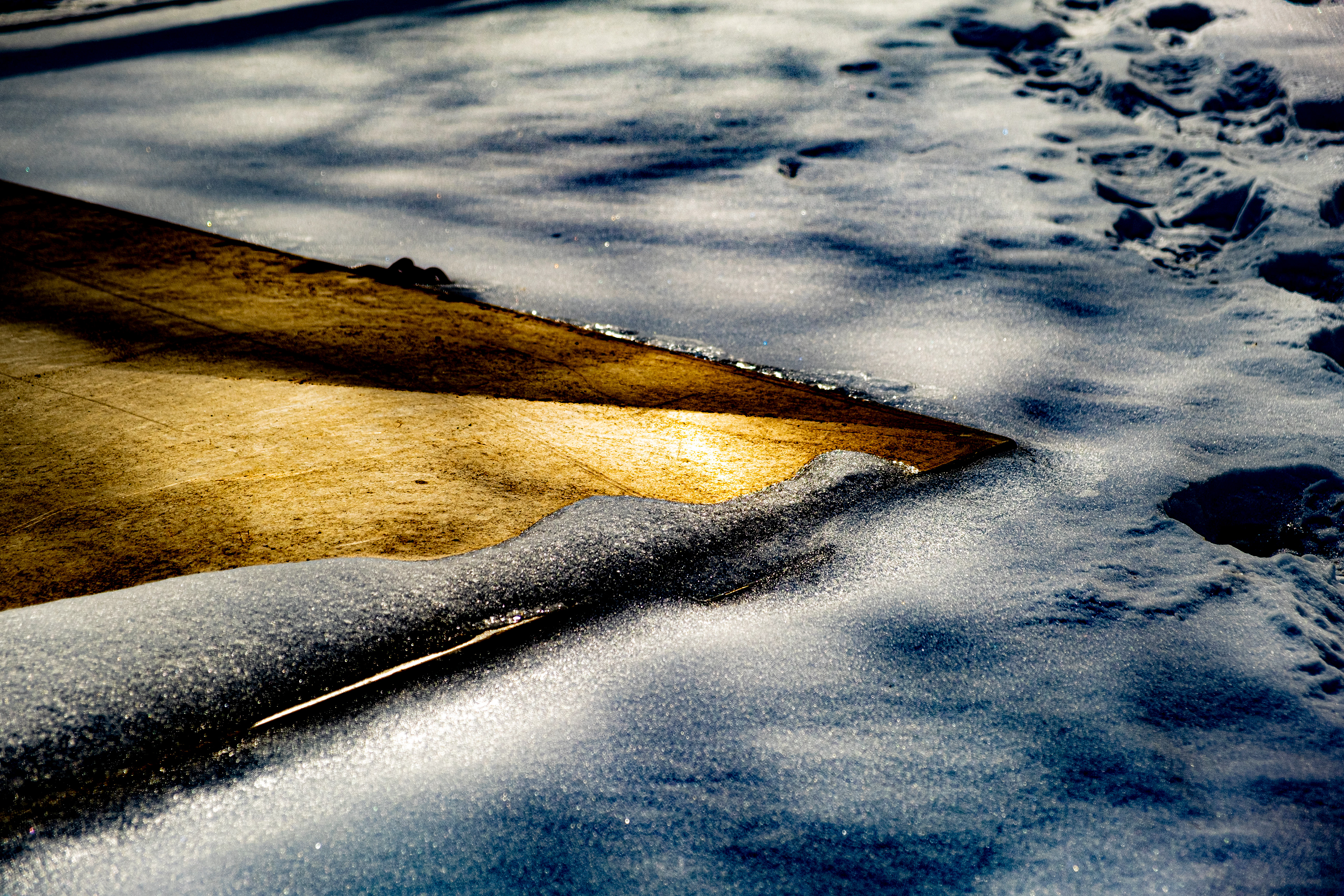 Golden Panel - Winter