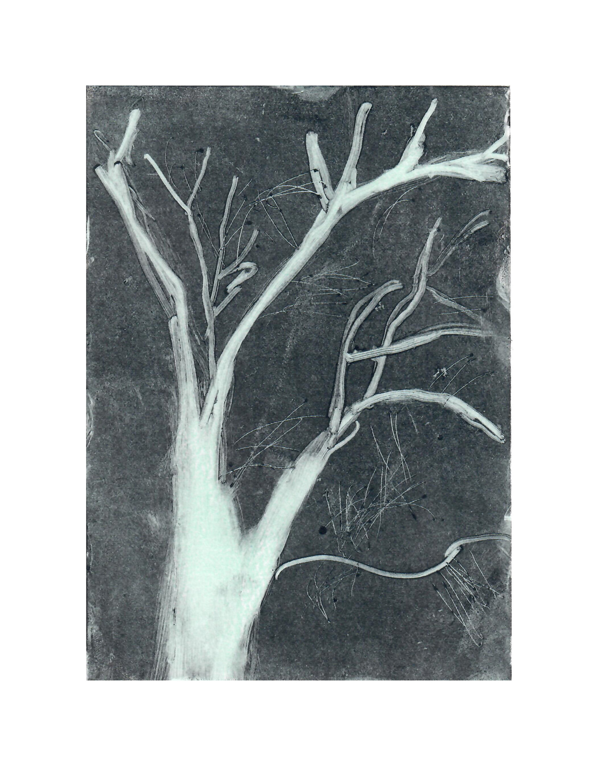 Locust Tree in Autumn, 2021, monotype, 5 x 7 inches