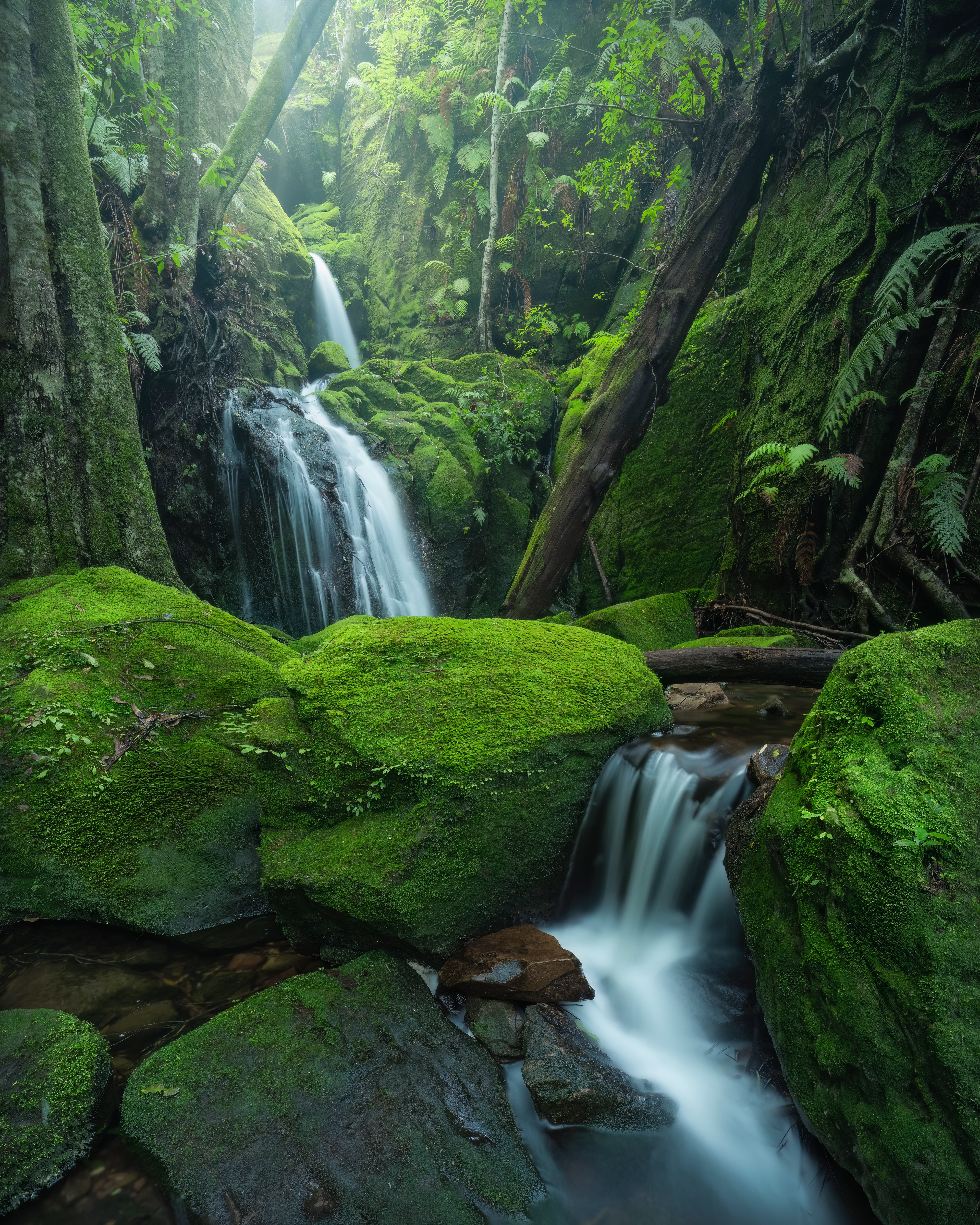 Surprise Falls
