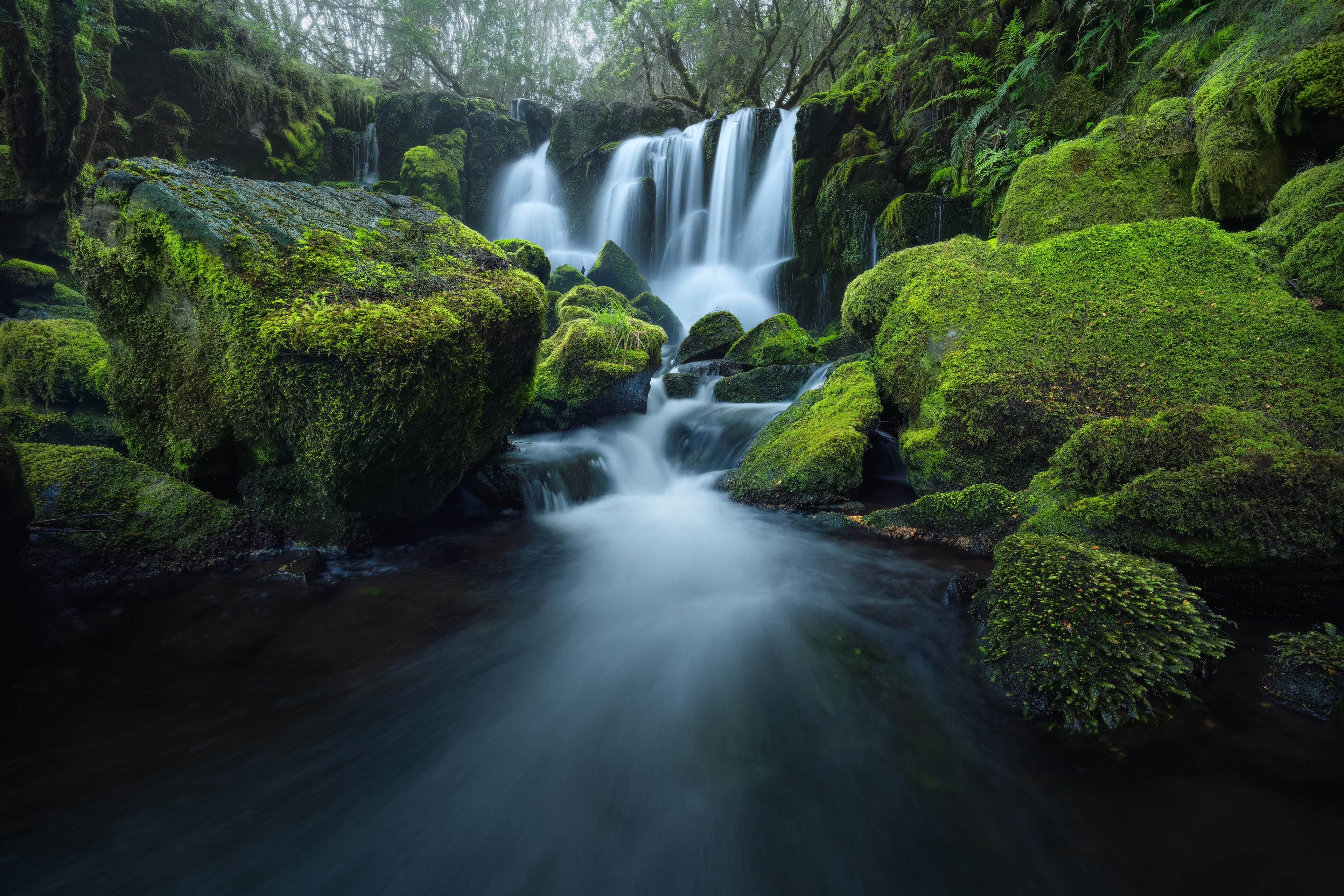 Tarkine Waterfall