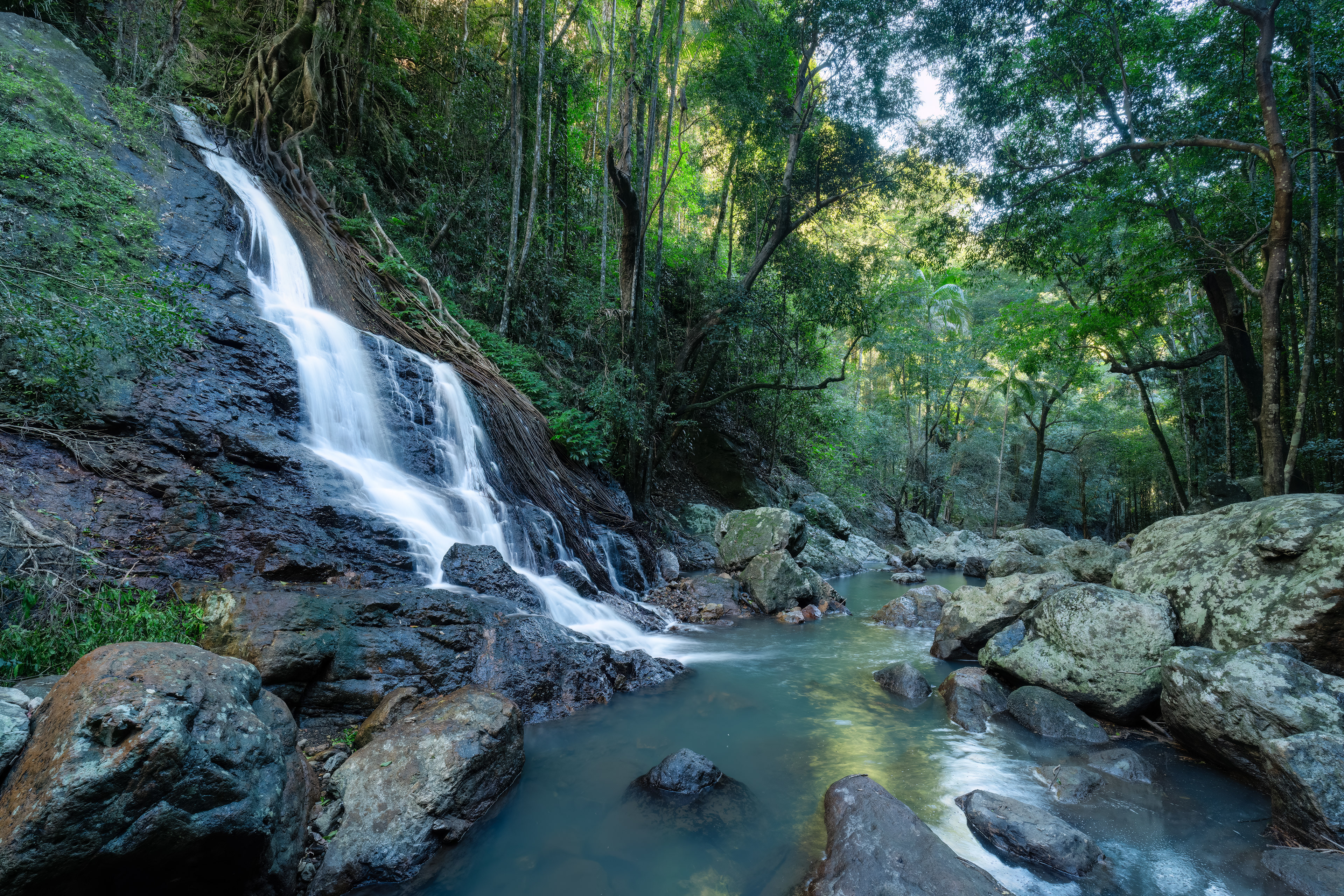 Kondalilla Falls 03
