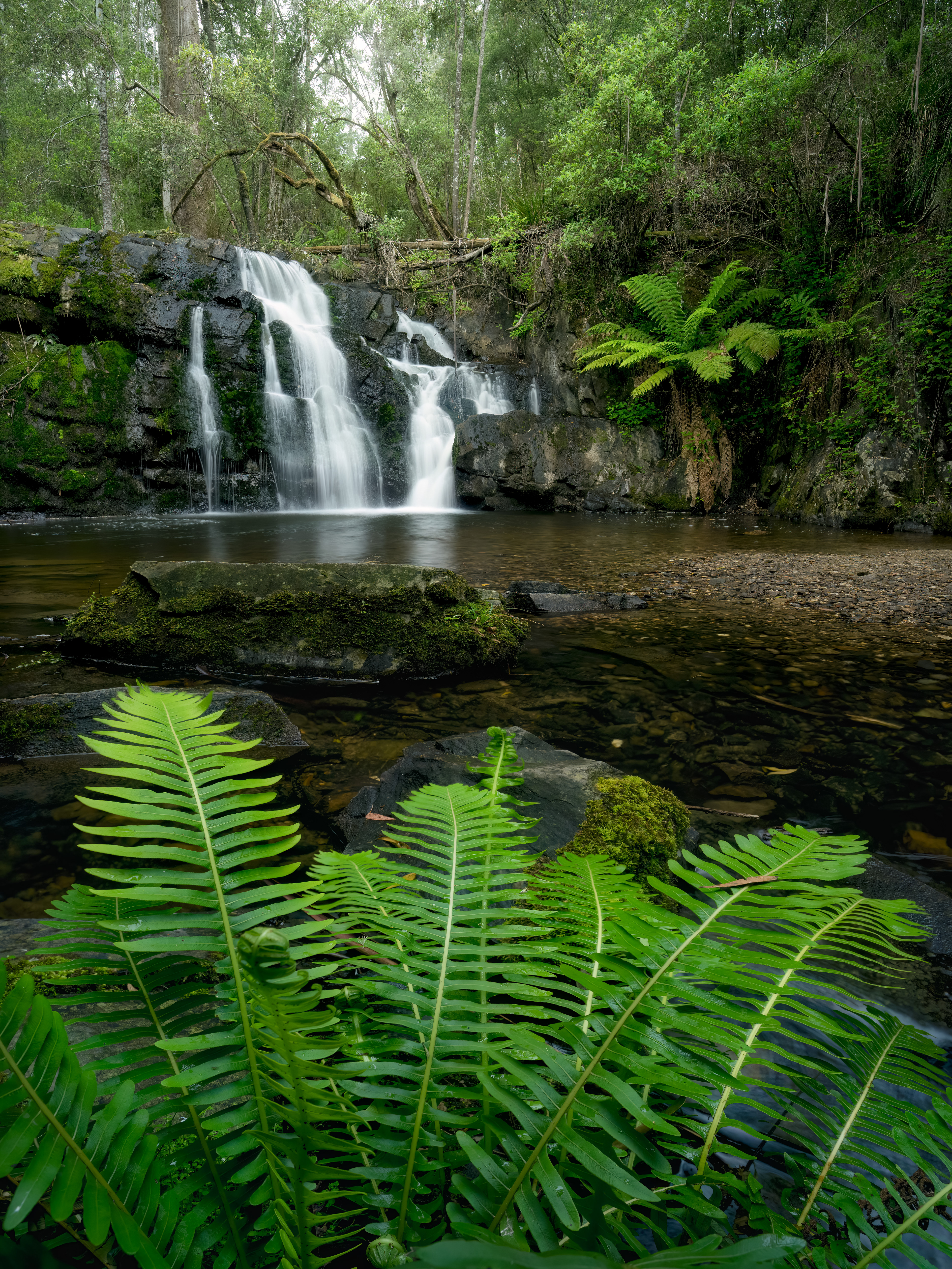 Lilydale Falls