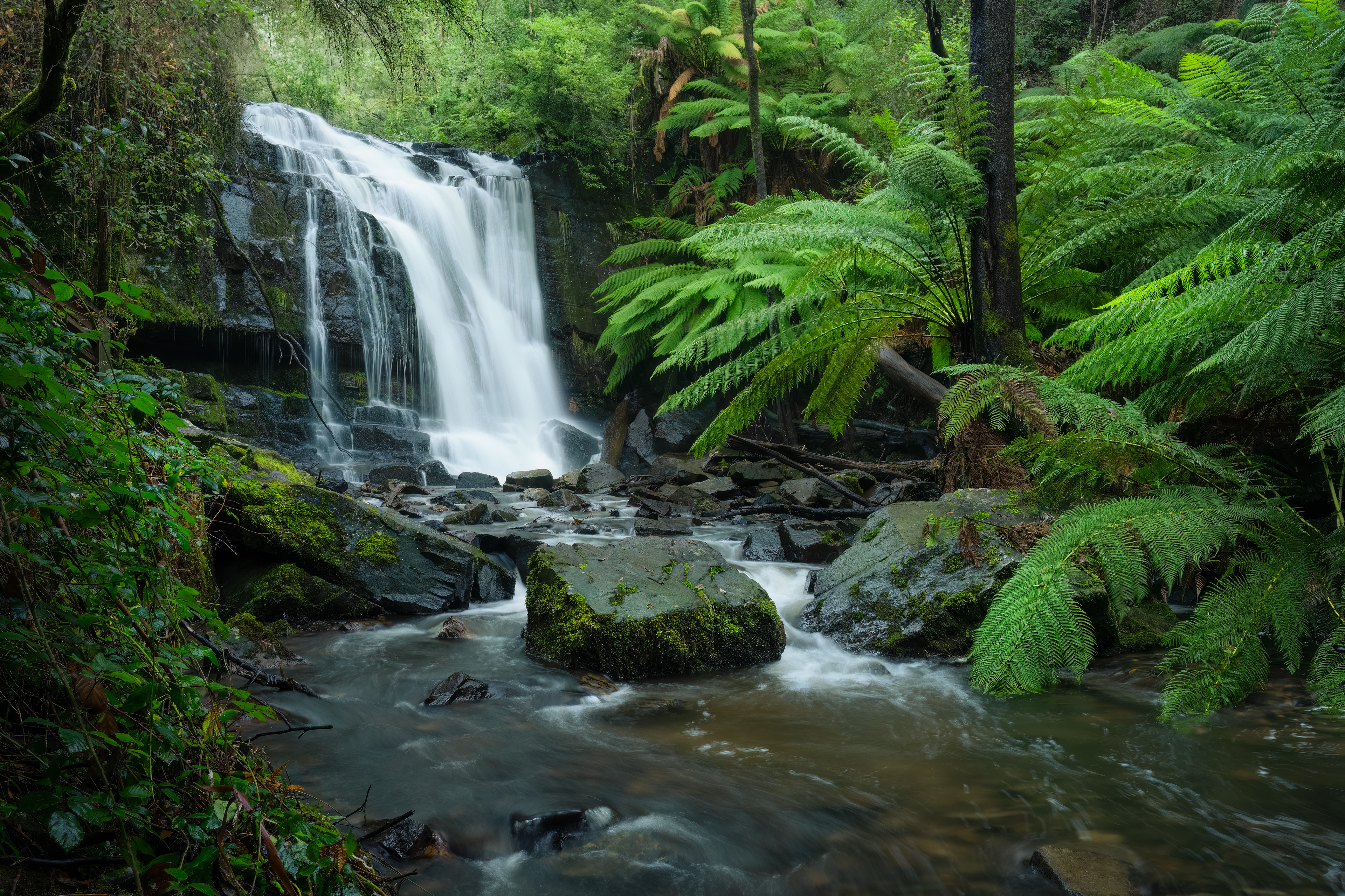 Lilydale Falls 01 (2:3)