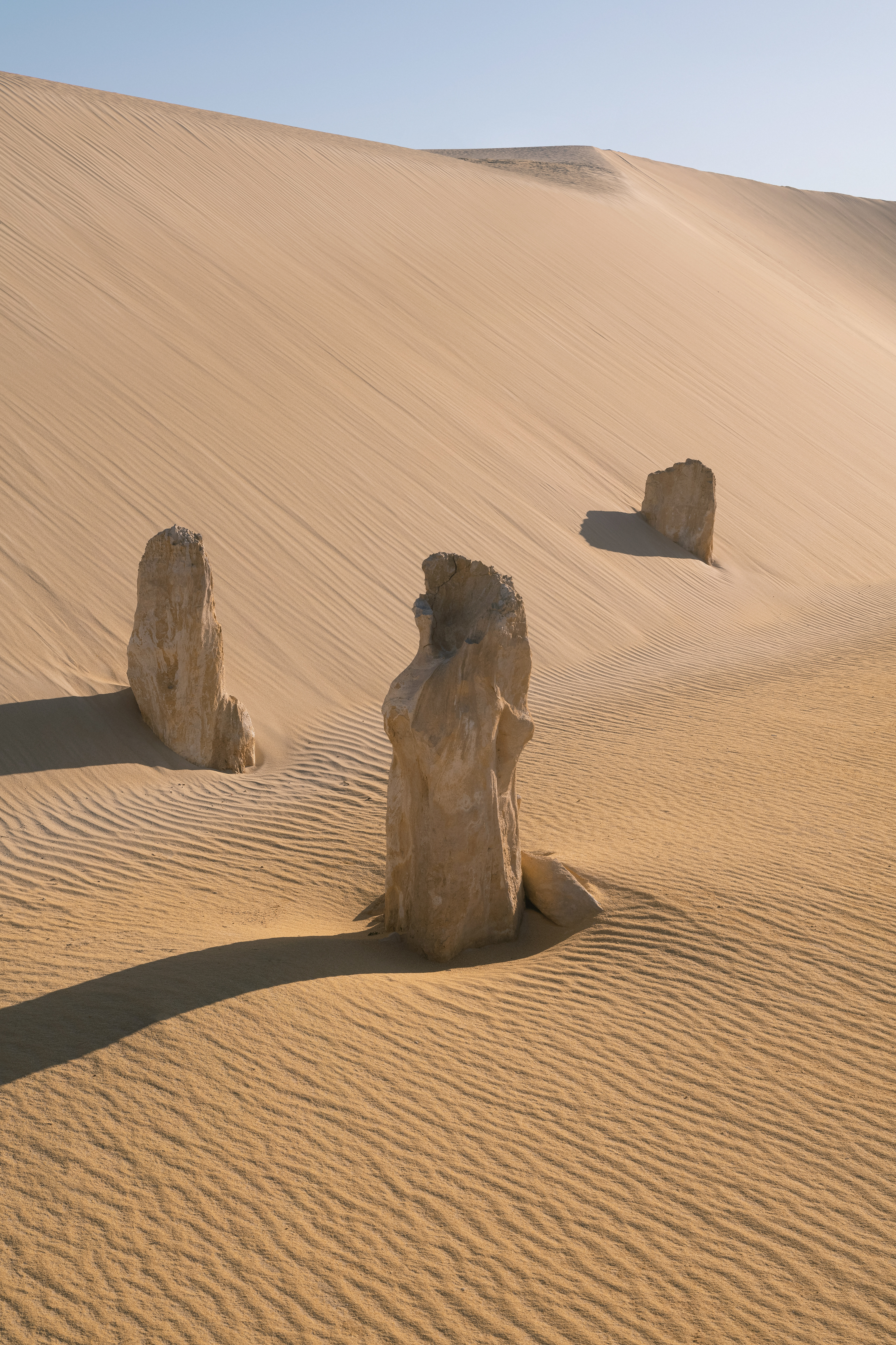 Swallowed By Sand 01