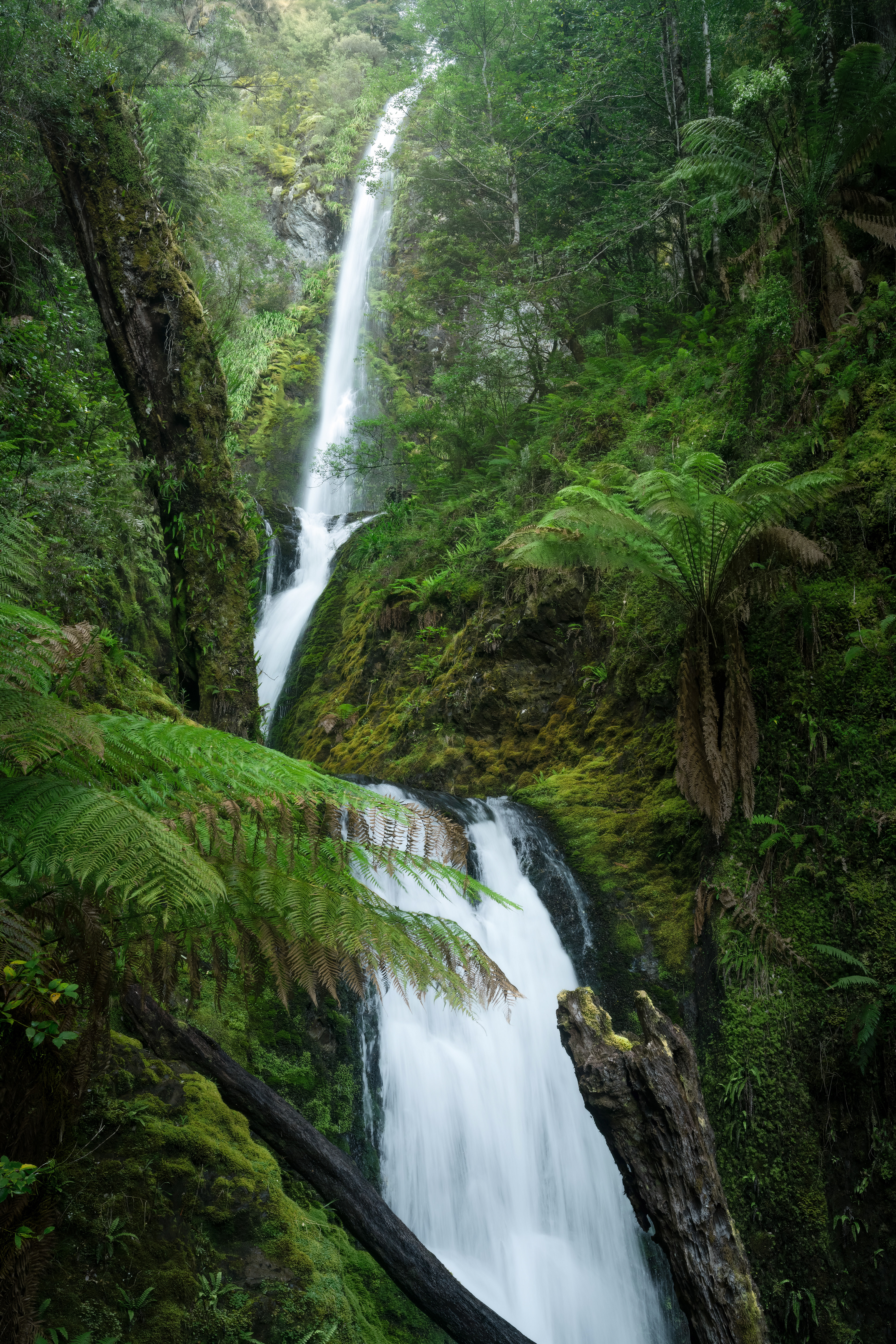 Dover River Forest Waterfall