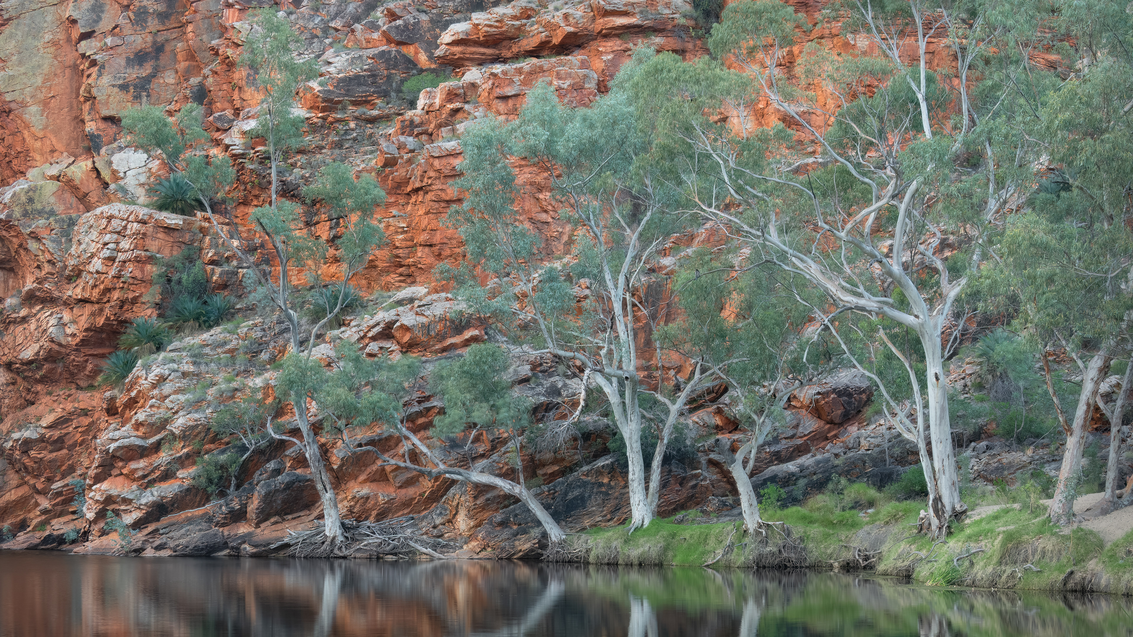 Ellery Creek Reflections