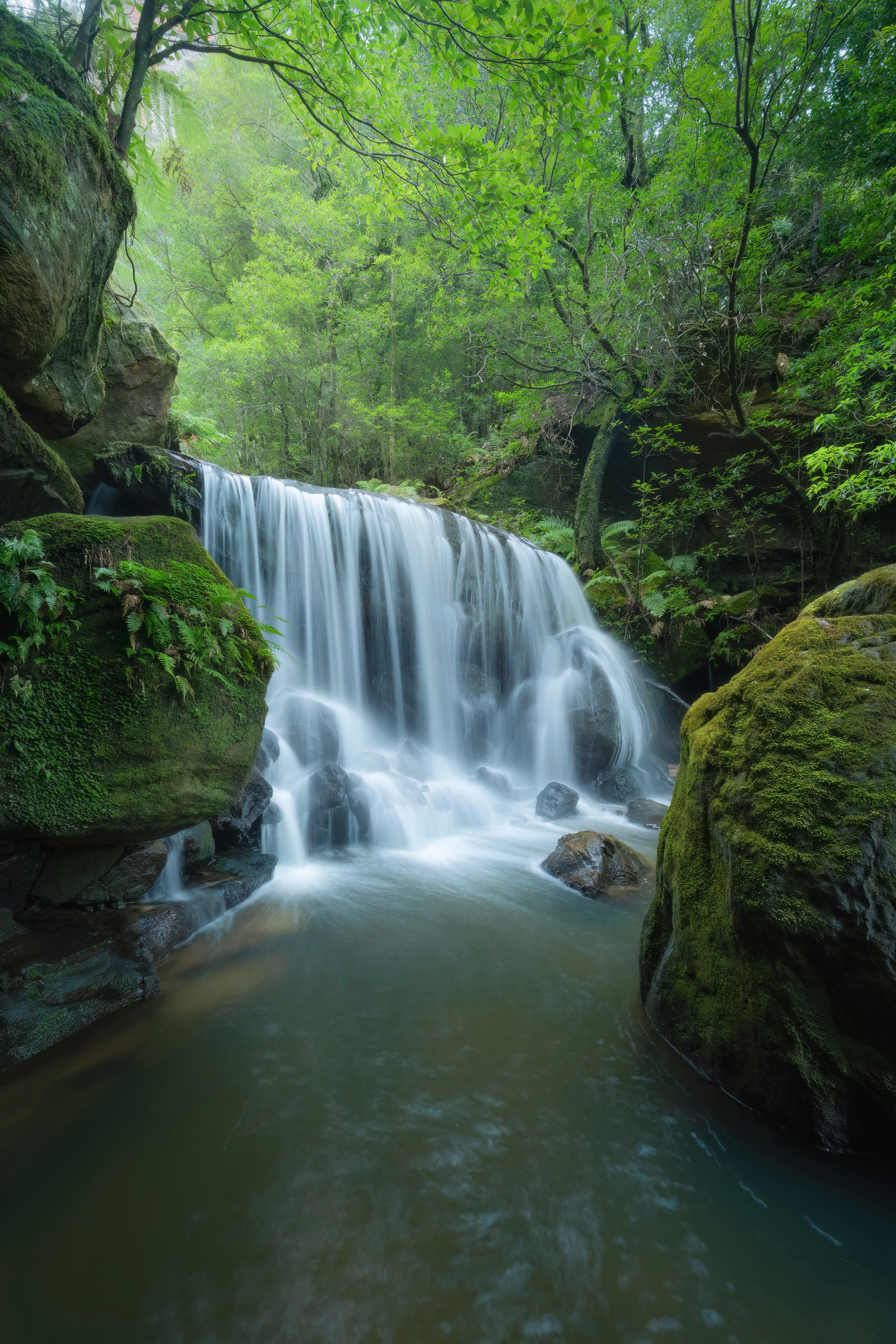 Leura Weeping Rock 02