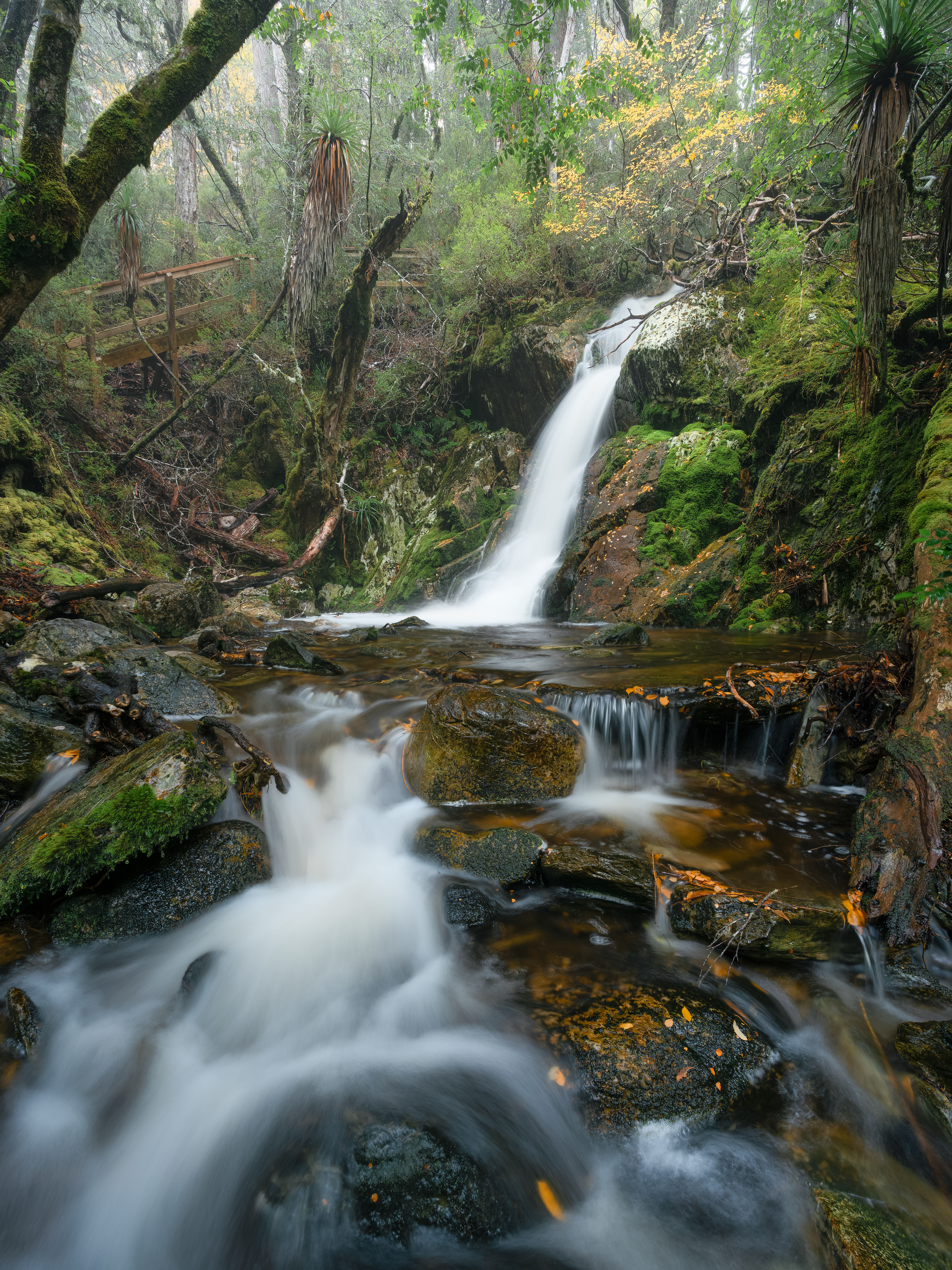 Crater Falls, Cradle Mountain (4:5)