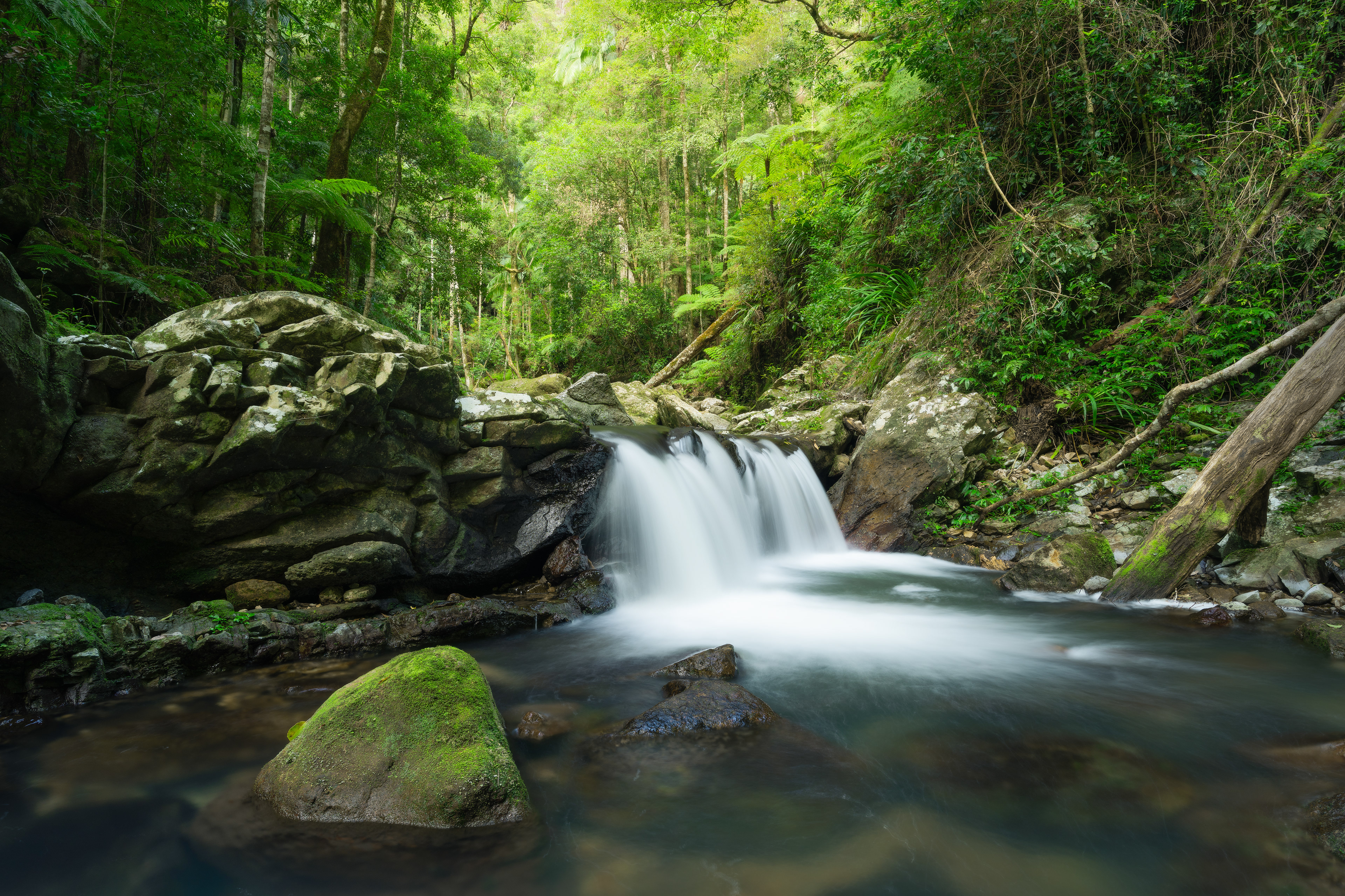 Coomera Gorge 01