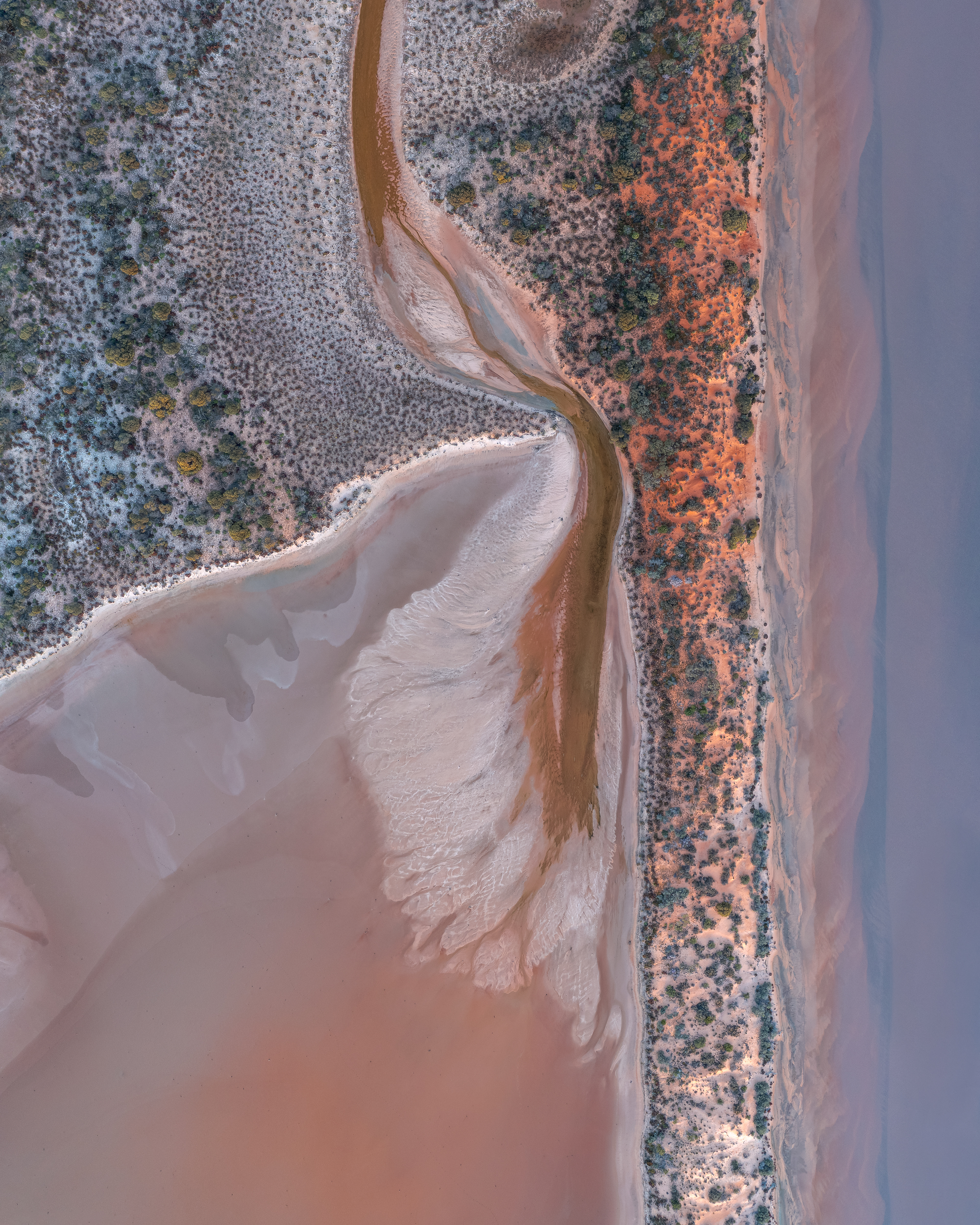 Mongers Lake 02 (4:5)